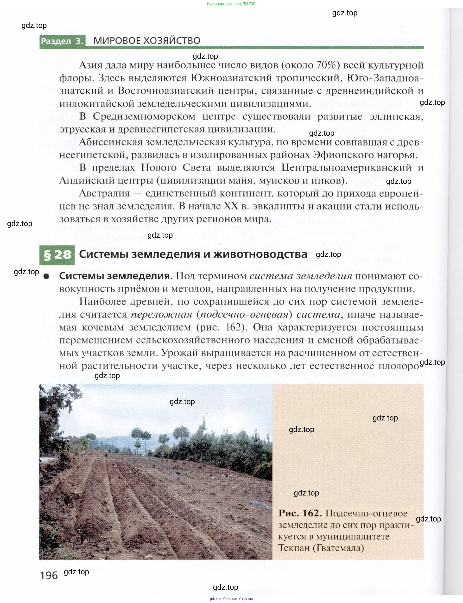 География, 11 класс Учебник, автор: Холина Вероника Николаевна, издательство Просвещение, Москва, 2019, белого цвета, страница 196