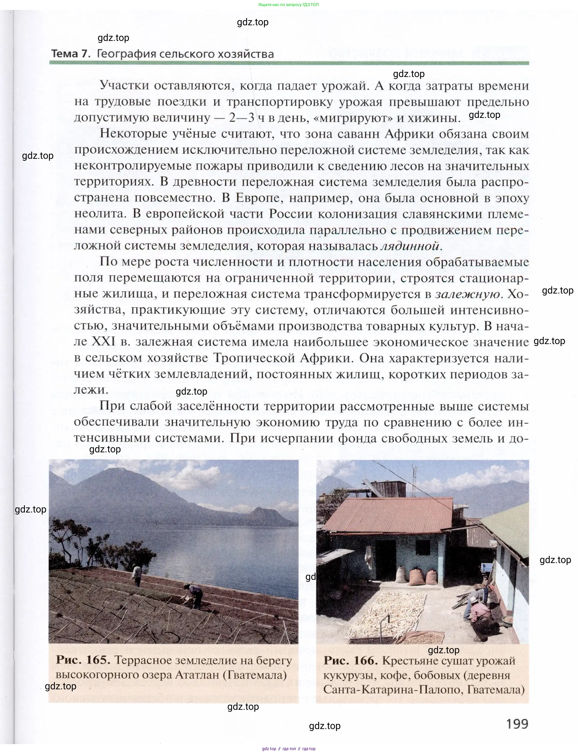 География, 11 класс Учебник, автор: Холина Вероника Николаевна, издательство Просвещение, Москва, 2019, белого цвета, страница 199