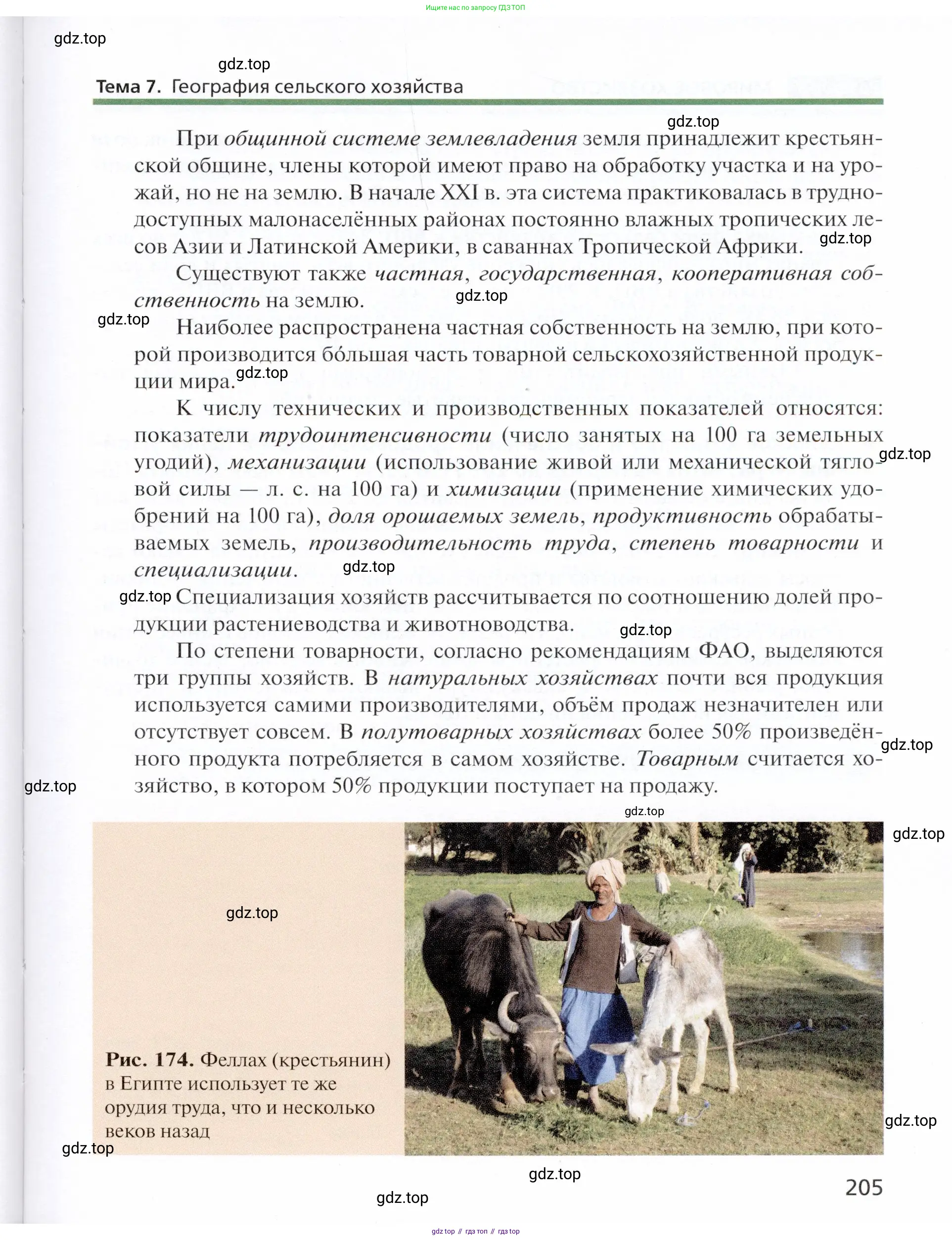 География, 11 класс Учебник, автор: Холина Вероника Николаевна, издательство Просвещение, Москва, 2019, белого цвета, страница 205