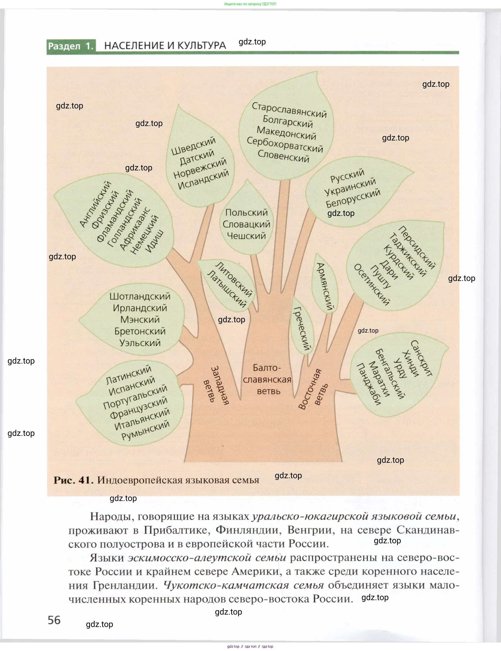 География, 11 класс Учебник, автор: Холина Вероника Николаевна, издательство Просвещение, Москва, 2019, белого цвета, страница 56