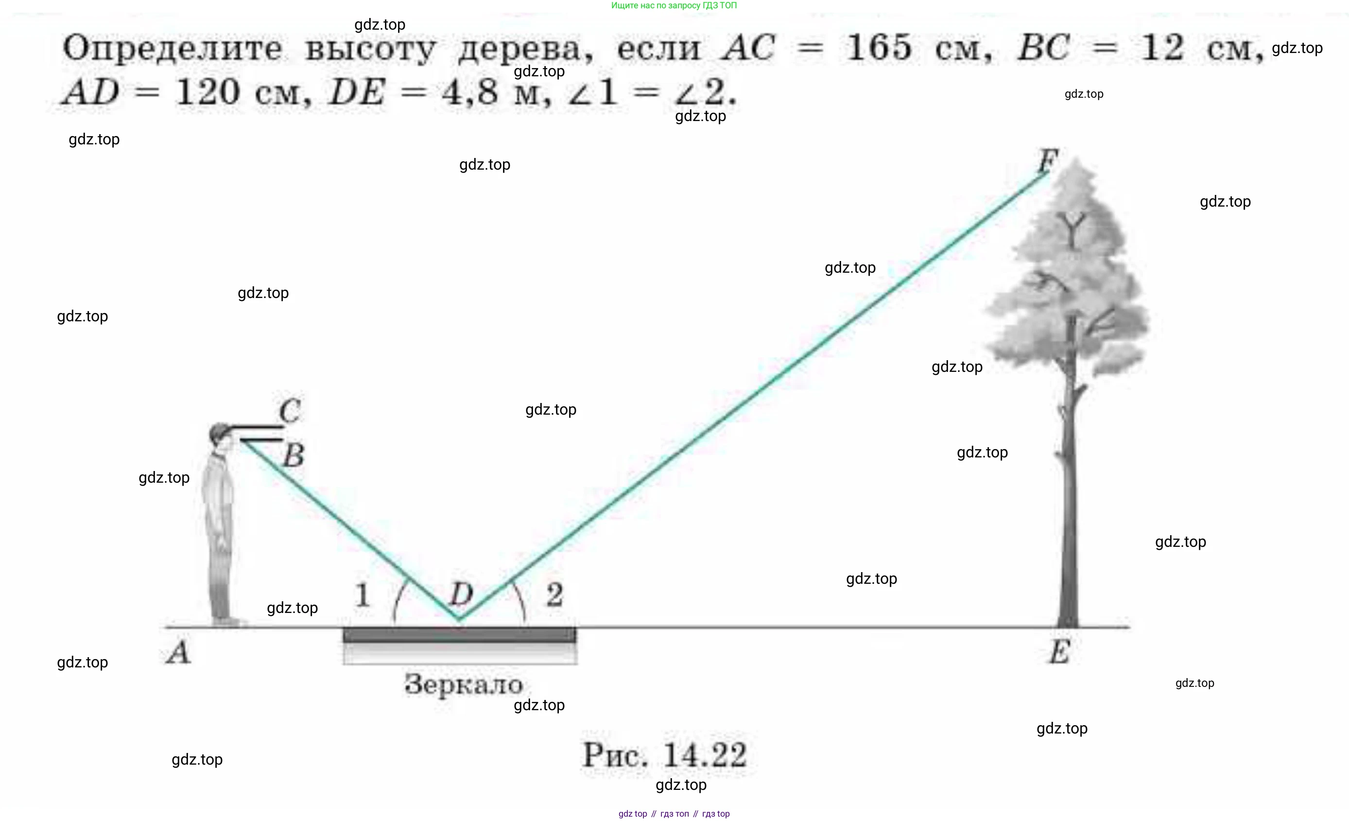 ГДЗ Геометрия, 9 класс Учебник, авторы: Смирнов Владимир Алексеевич, Туяков Есенкельды Алыбаевич, издательство Мектеп, Алматы, 2019, страница 84, номер 41, Условие (продолжение 2)