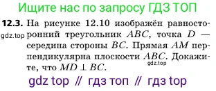 ГДЗ Геометрия, 10 класс Учебник, авторы: Мерзляк Аркадий Григорьевич, Поляков Виталий Михайлович, Номировский Дмитрий Анатольевич, издательство Вентана-граф, Москва, 2017, зелёного цвета, страница 141, номер 12.3, Условие