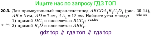 ГДЗ Геометрия, 10 класс Учебник, авторы: Мерзляк Аркадий Григорьевич, Поляков Виталий Михайлович, Номировский Дмитрий Анатольевич, издательство Вентана-граф, Москва, 2017, зелёного цвета, страница 216, номер 20.3, Условие