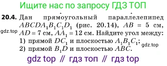 ГДЗ Геометрия, 10 класс Учебник, авторы: Мерзляк Аркадий Григорьевич, Поляков Виталий Михайлович, Номировский Дмитрий Анатольевич, издательство Вентана-граф, Москва, 2017, зелёного цвета, страница 216, номер 20.4, Условие