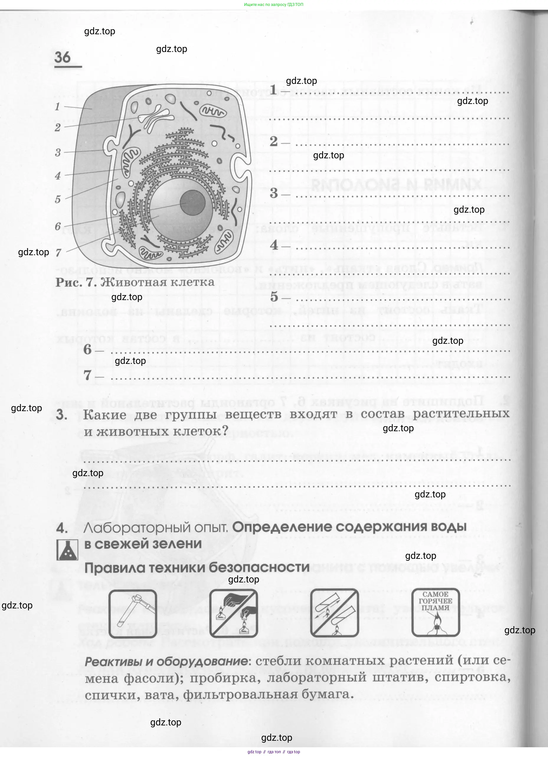 Химия, 7 класс рабочая тетрадь, автор: Габриелян Олег Саргисович, издательство Просвещение, Москва, 2021, страница 36