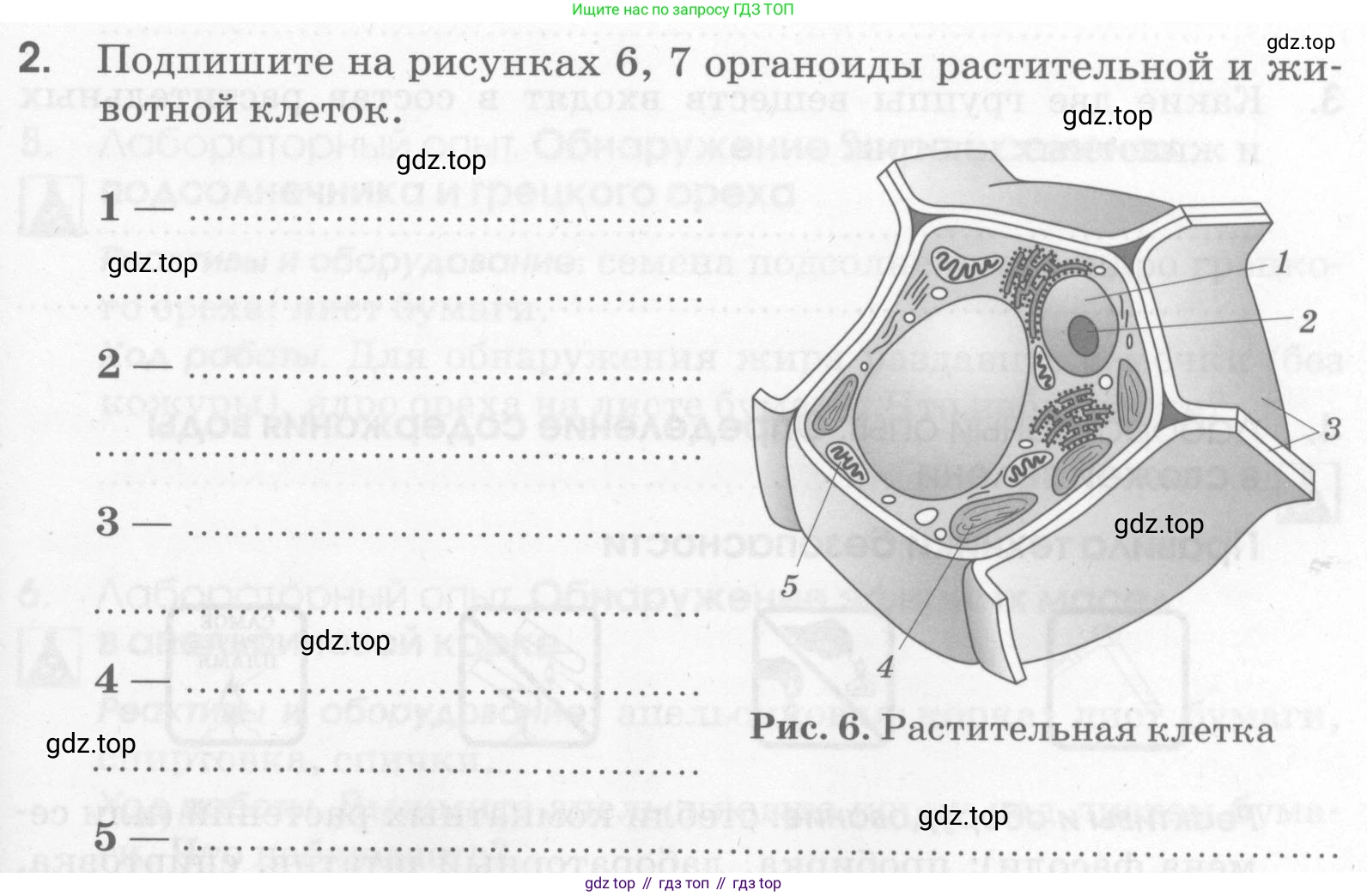 Химия, 7 класс рабочая тетрадь, автор: Габриелян Олег Саргисович, издательство Просвещение, Москва, 2021, страница 35, номер 2, Условие
