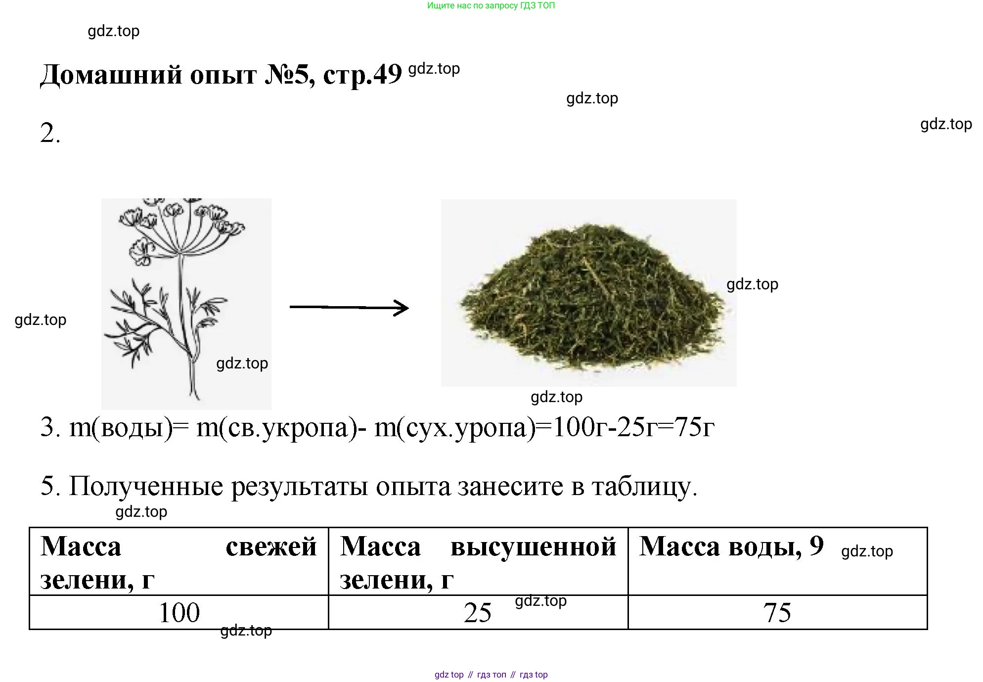 Химия, 7 класс Тетрадь для лабораторных и практических работ, авторы: Габриелян Олег Саргисович, Аксенова Инна Васильевна, Остроумов Игорь Геннадьевич, издательство Просвещение, Москва, 2018, белого цвета, страница 49, Решение
