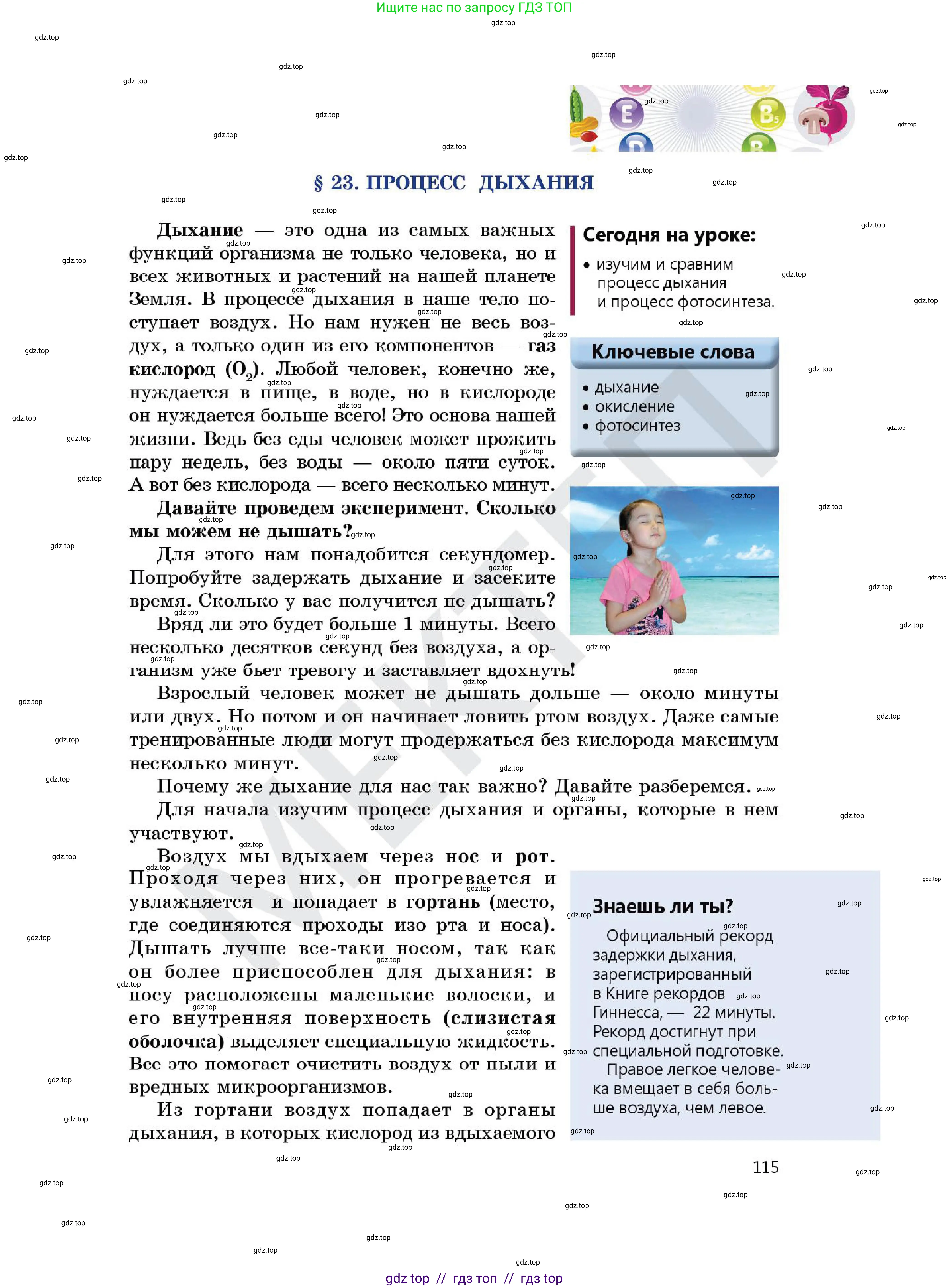 Химия, 7 класс Учебник, авторы: Оспанова Мейрамкуль Кабылбековна, Аухадиева Кырмызы Сейсенбековна, Белоусова Татьяна Геннадьевна, издательство Мектеп, Алматы, 2017, страница 115