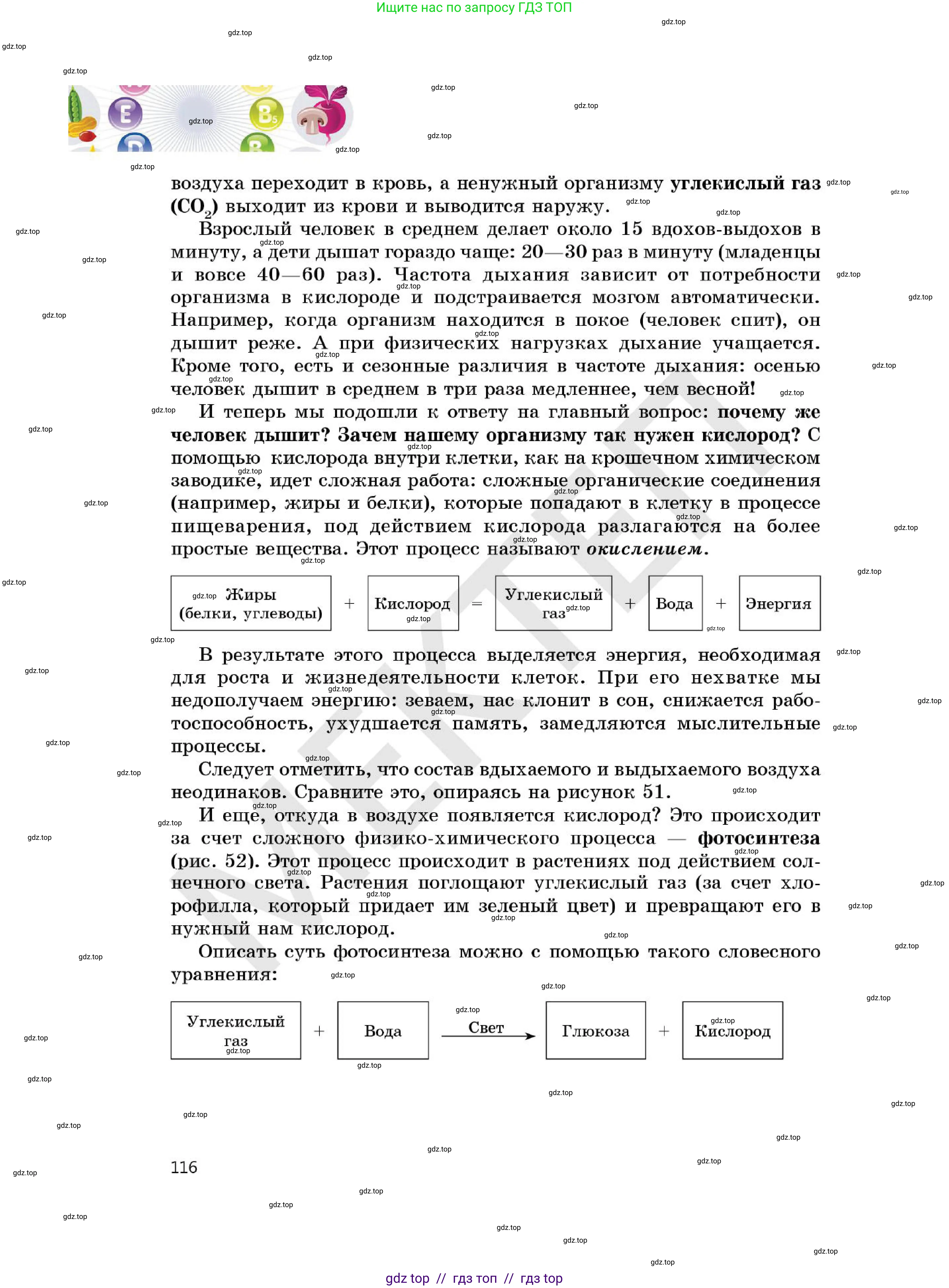 Химия, 7 класс Учебник, авторы: Оспанова Мейрамкуль Кабылбековна, Аухадиева Кырмызы Сейсенбековна, Белоусова Татьяна Геннадьевна, издательство Мектеп, Алматы, 2017, страница 116