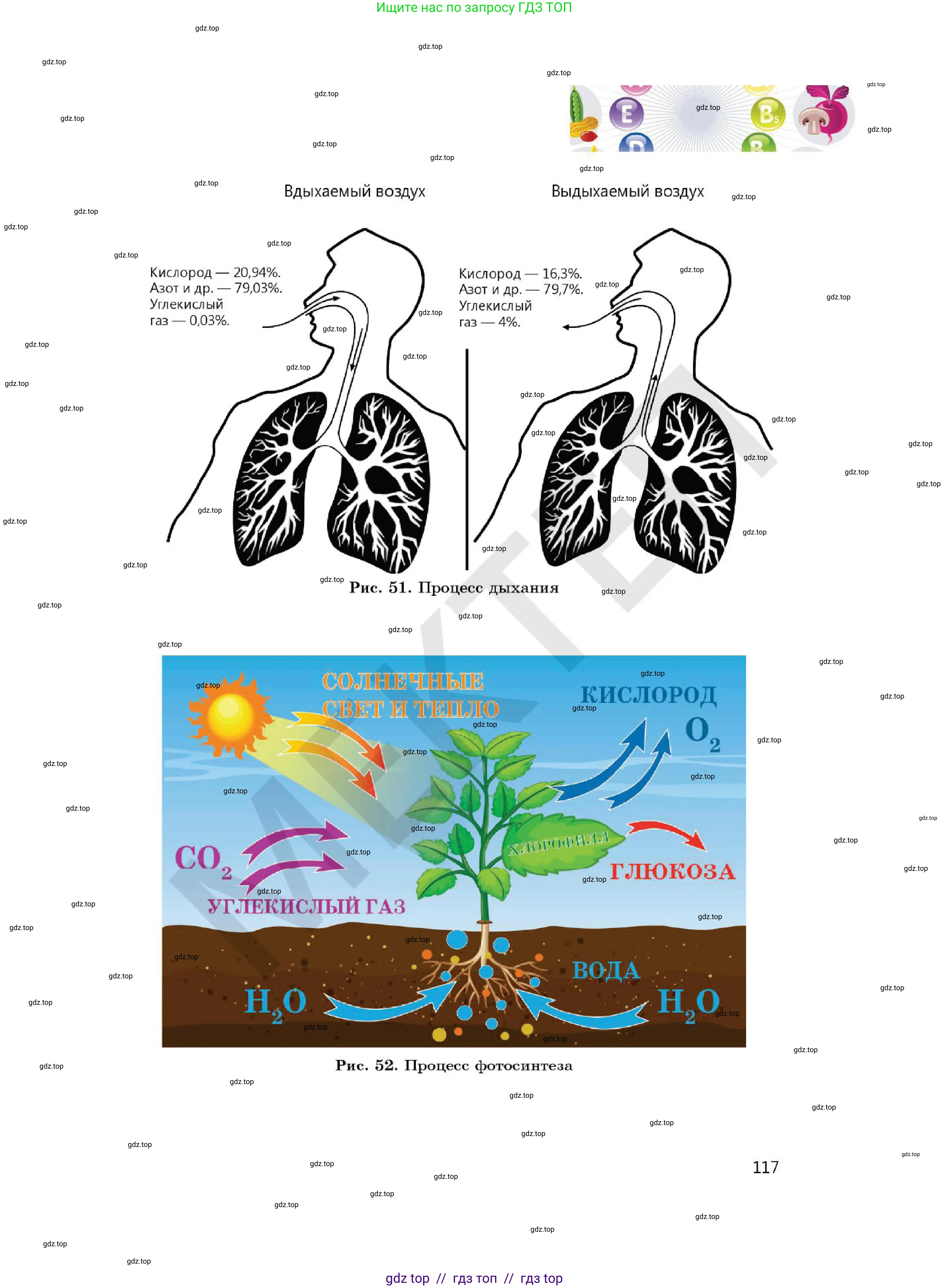 Химия, 7 класс Учебник, авторы: Оспанова Мейрамкуль Кабылбековна, Аухадиева Кырмызы Сейсенбековна, Белоусова Татьяна Геннадьевна, издательство Мектеп, Алматы, 2017, страница 117