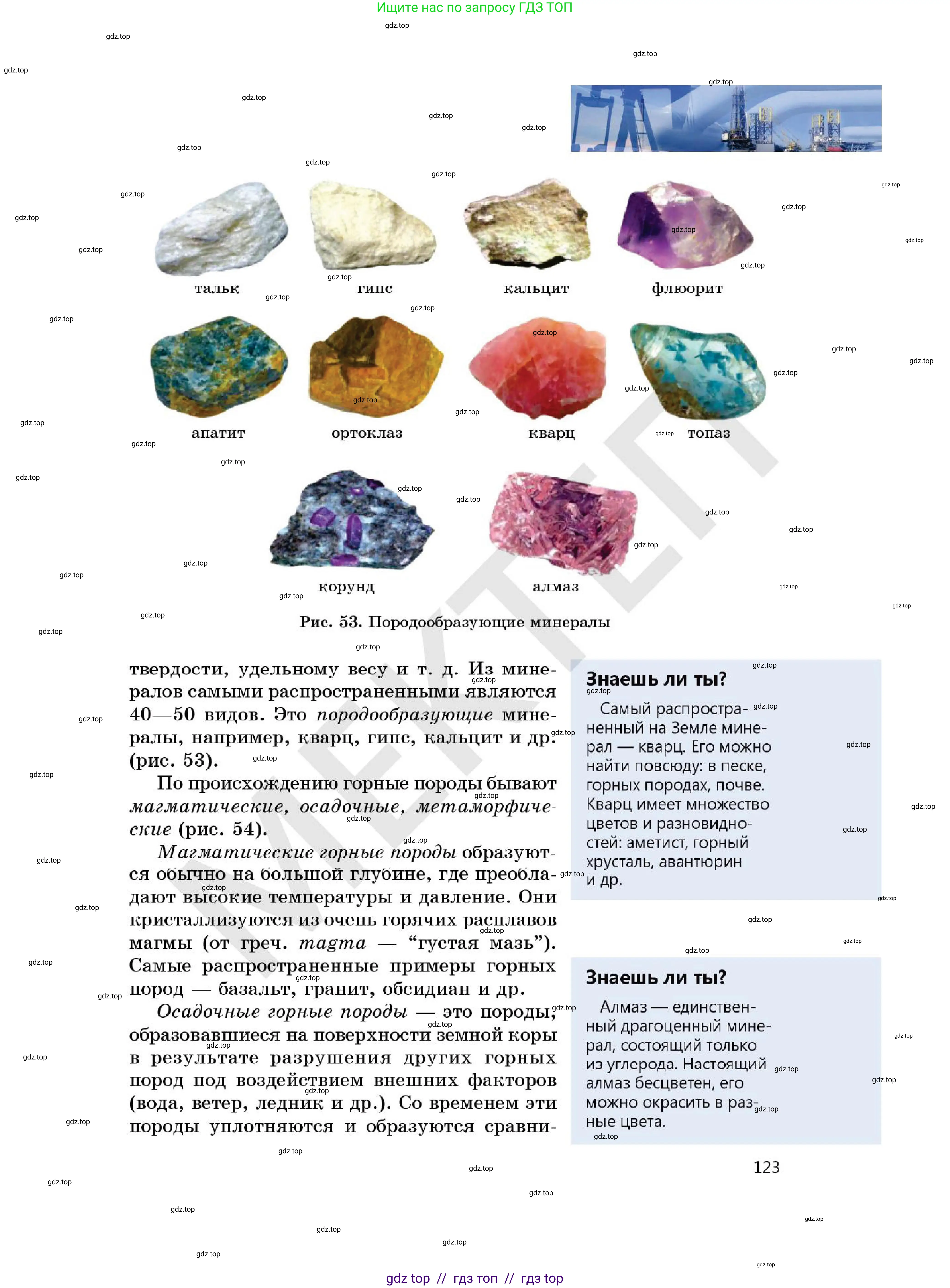 Химия, 7 класс Учебник, авторы: Оспанова Мейрамкуль Кабылбековна, Аухадиева Кырмызы Сейсенбековна, Белоусова Татьяна Геннадьевна, издательство Мектеп, Алматы, 2017, страница 123