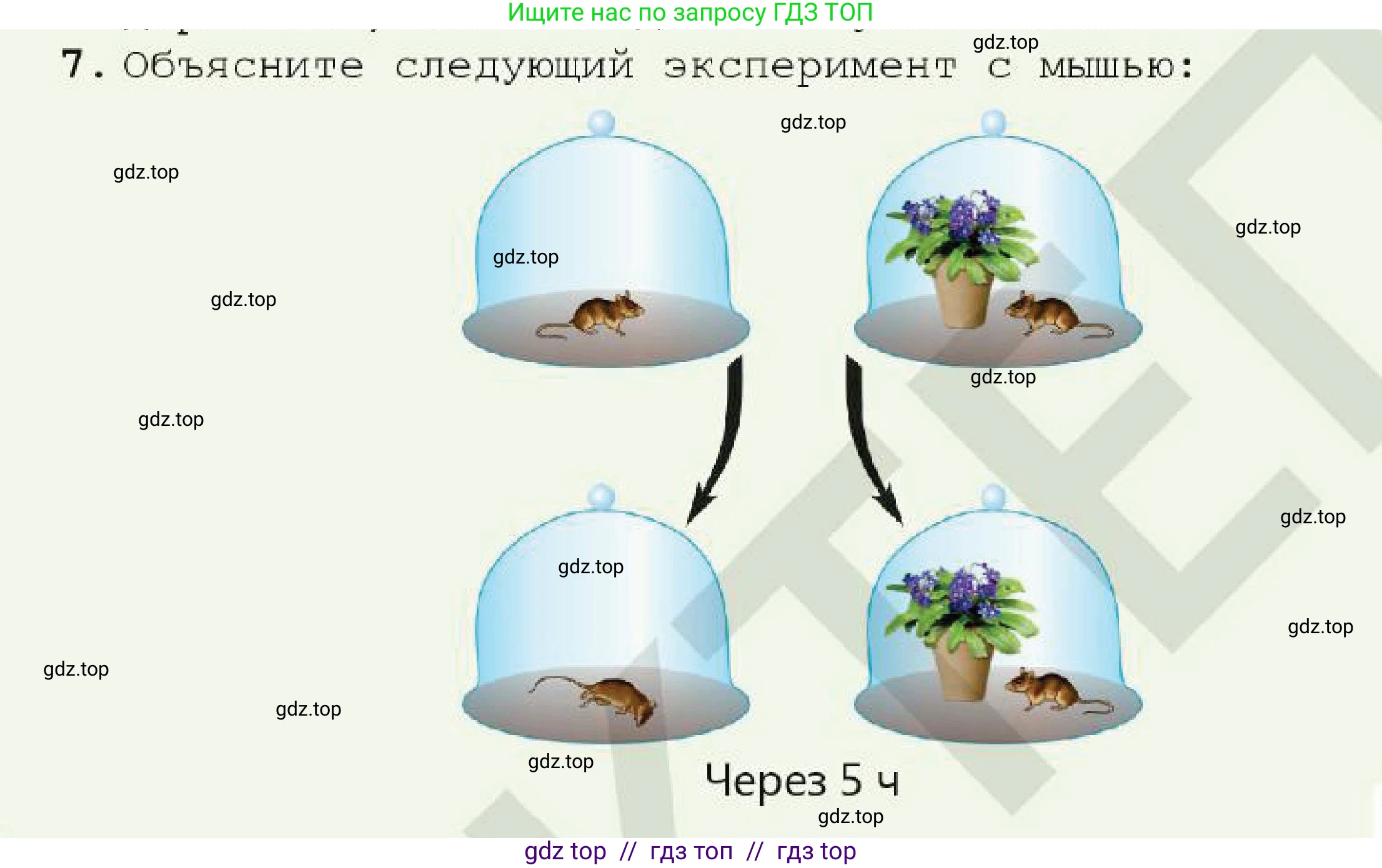 Химия, 7 класс Учебник, авторы: Оспанова Мейрамкуль Кабылбековна, Аухадиева Кырмызы Сейсенбековна, Белоусова Татьяна Геннадьевна, издательство Мектеп, Алматы, 2017, страница 118, номер 7, Условие