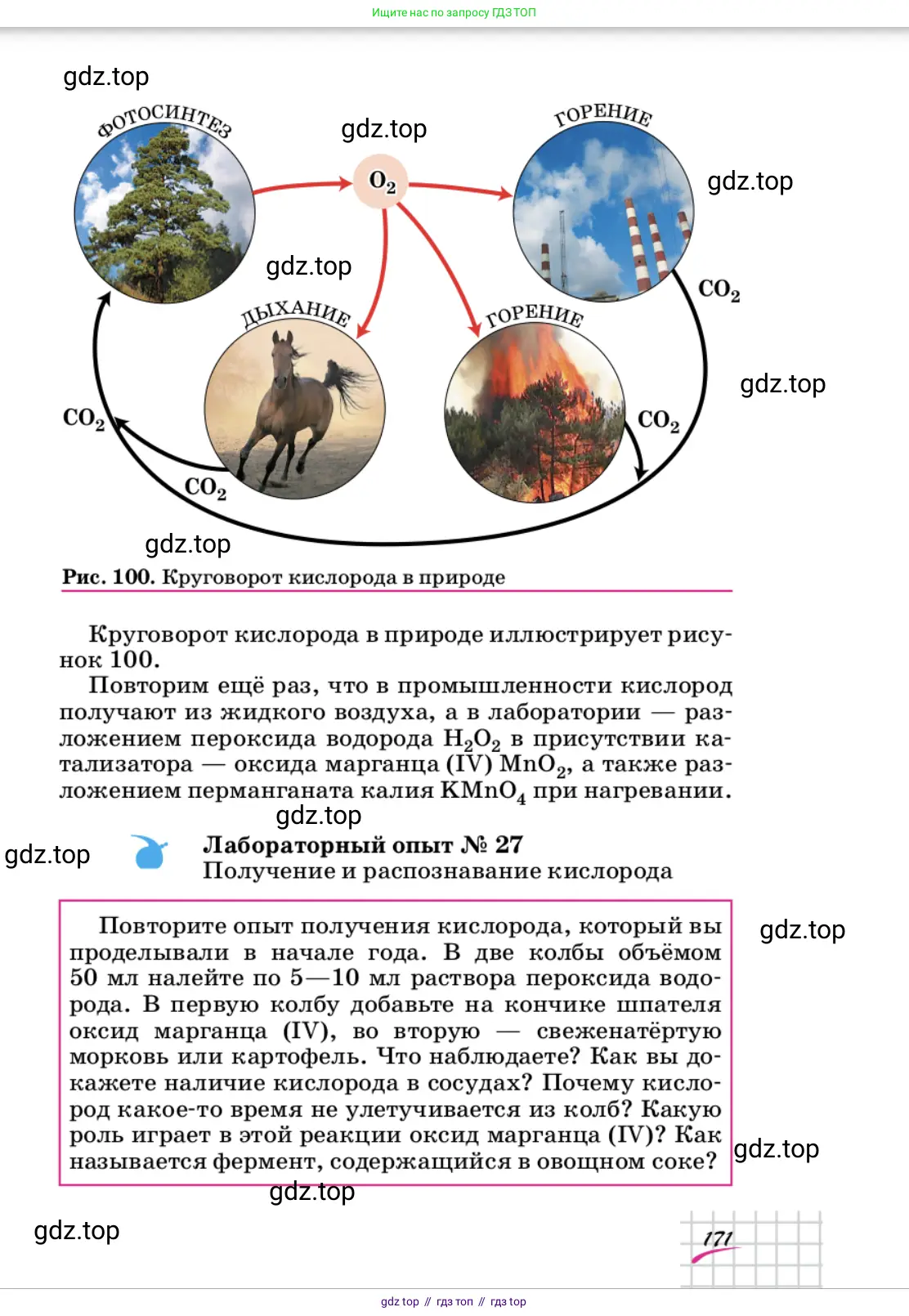 Химия, 9 класс Учебник, автор: Габриелян Олег Саргисович, издательство Просвещение, Москва, 2020, белого цвета, страница 171