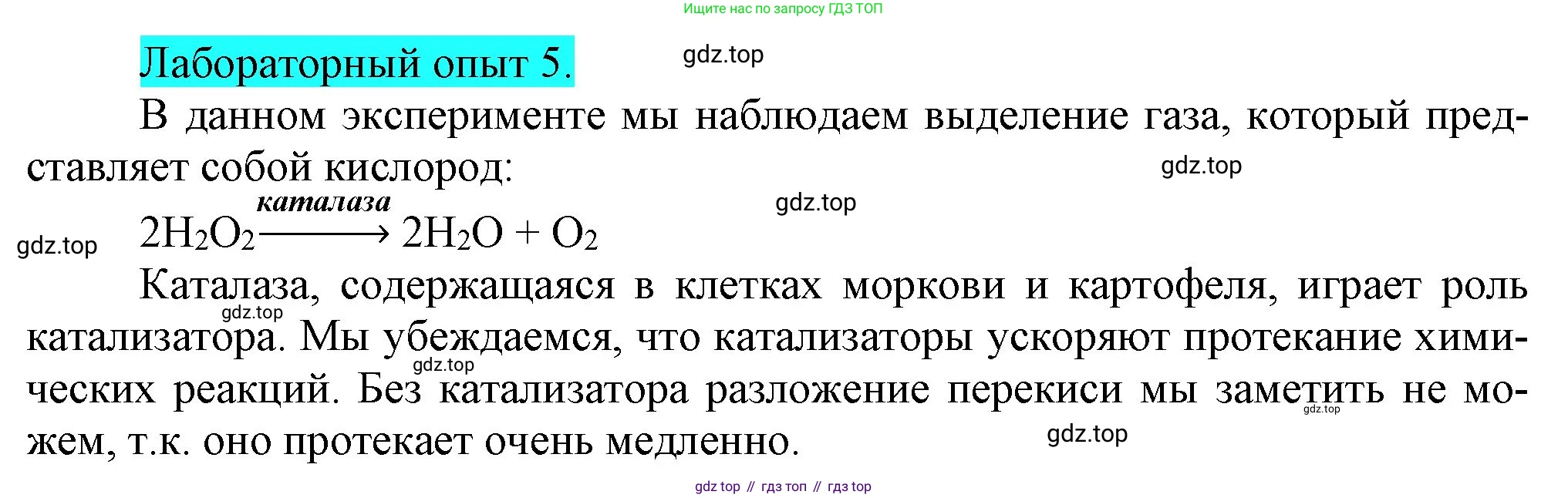 ГДЗ Химия, 9 класс Учебник, авторы: Габриелян Олег Саргисович, Остроумов Игорь Геннадьевич, Сладков Сергей Анатольевич, издательство Просвещение, Москва, 2023, белого цвета, страница 17, Решение