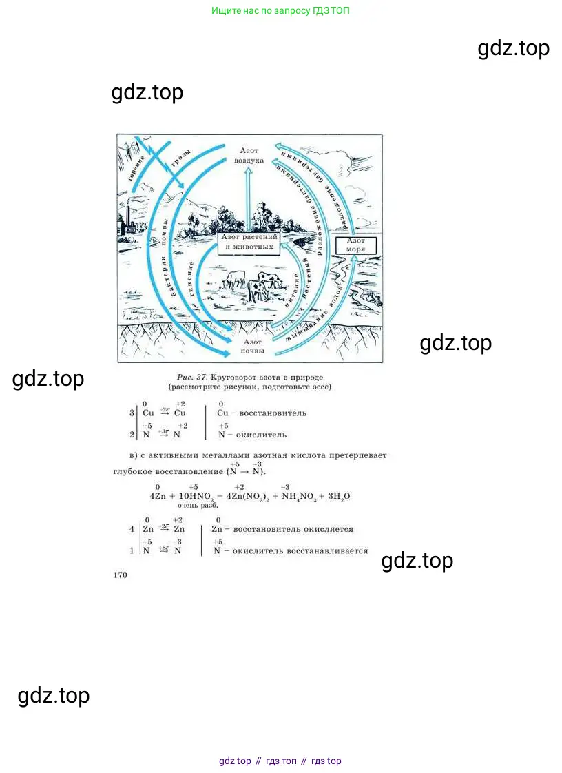 Химия, 9 класс Учебник, авторы: Усманова Майкамал Бигалиевна, Сакарьянова Куралай Назымовна, Сахариева Балнур Назымовна, издательство Атамұра, Алматы, 2019, голубого цвета, страница 170