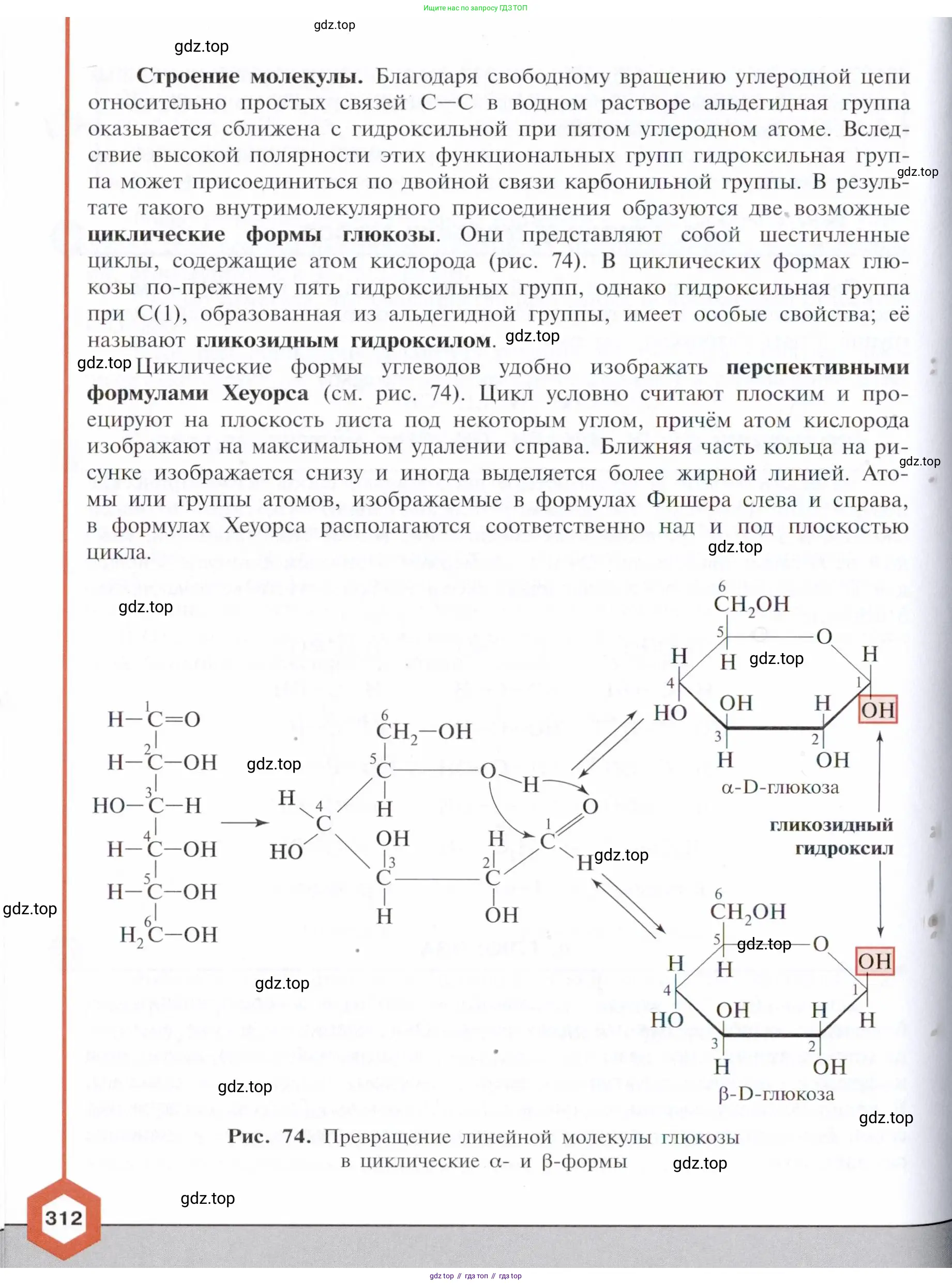 Химия, 10 класс Учебник, авторы: Габриелян Олег Саргисович, Остроумов Игорь Геннадьевич, Сладков Сергей Анатольевич, издательство Просвещение, Москва, 2021, белого цвета, страница 312