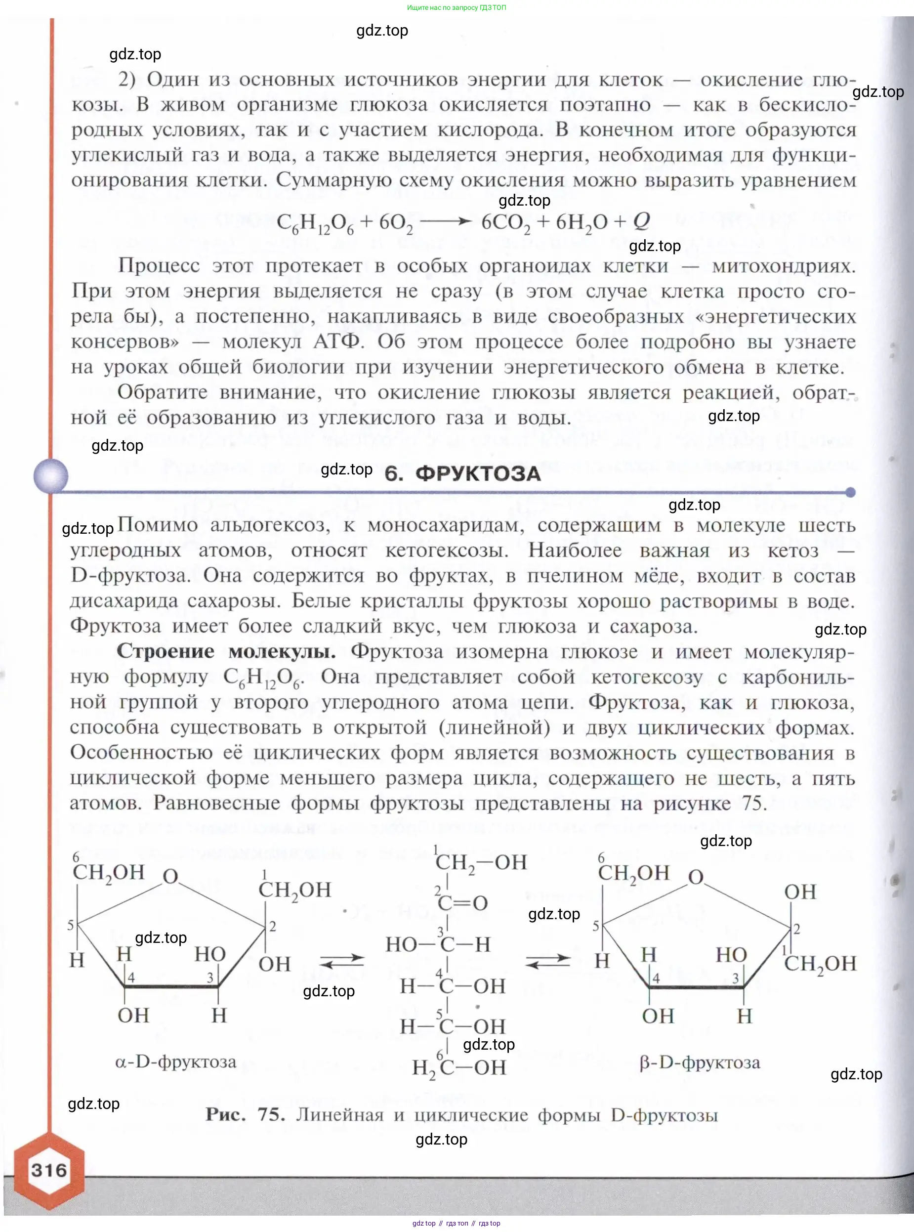 Химия, 10 класс Учебник, авторы: Габриелян Олег Саргисович, Остроумов Игорь Геннадьевич, Сладков Сергей Анатольевич, издательство Просвещение, Москва, 2021, белого цвета, страница 316