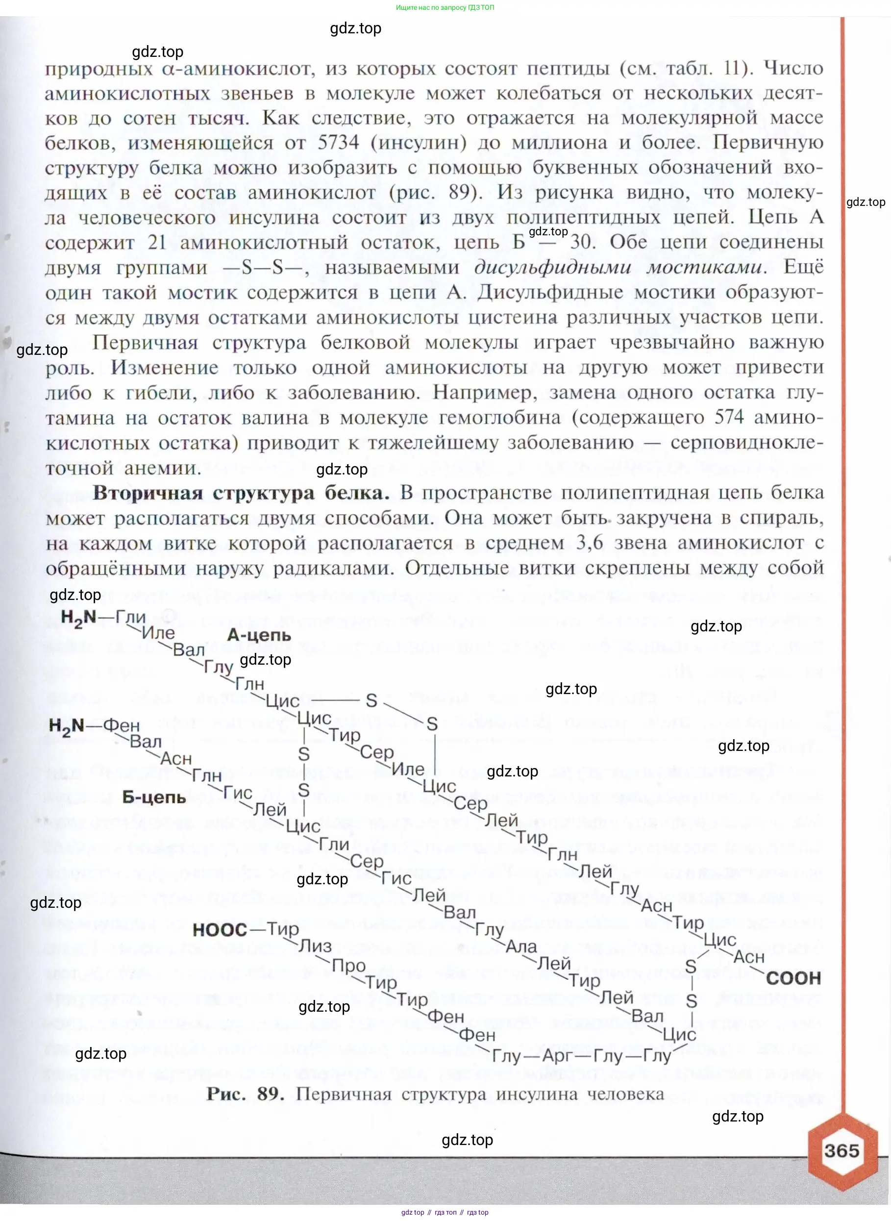 Химия, 10 класс Учебник, авторы: Габриелян Олег Саргисович, Остроумов Игорь Геннадьевич, Сладков Сергей Анатольевич, издательство Просвещение, Москва, 2021, белого цвета, страница 365