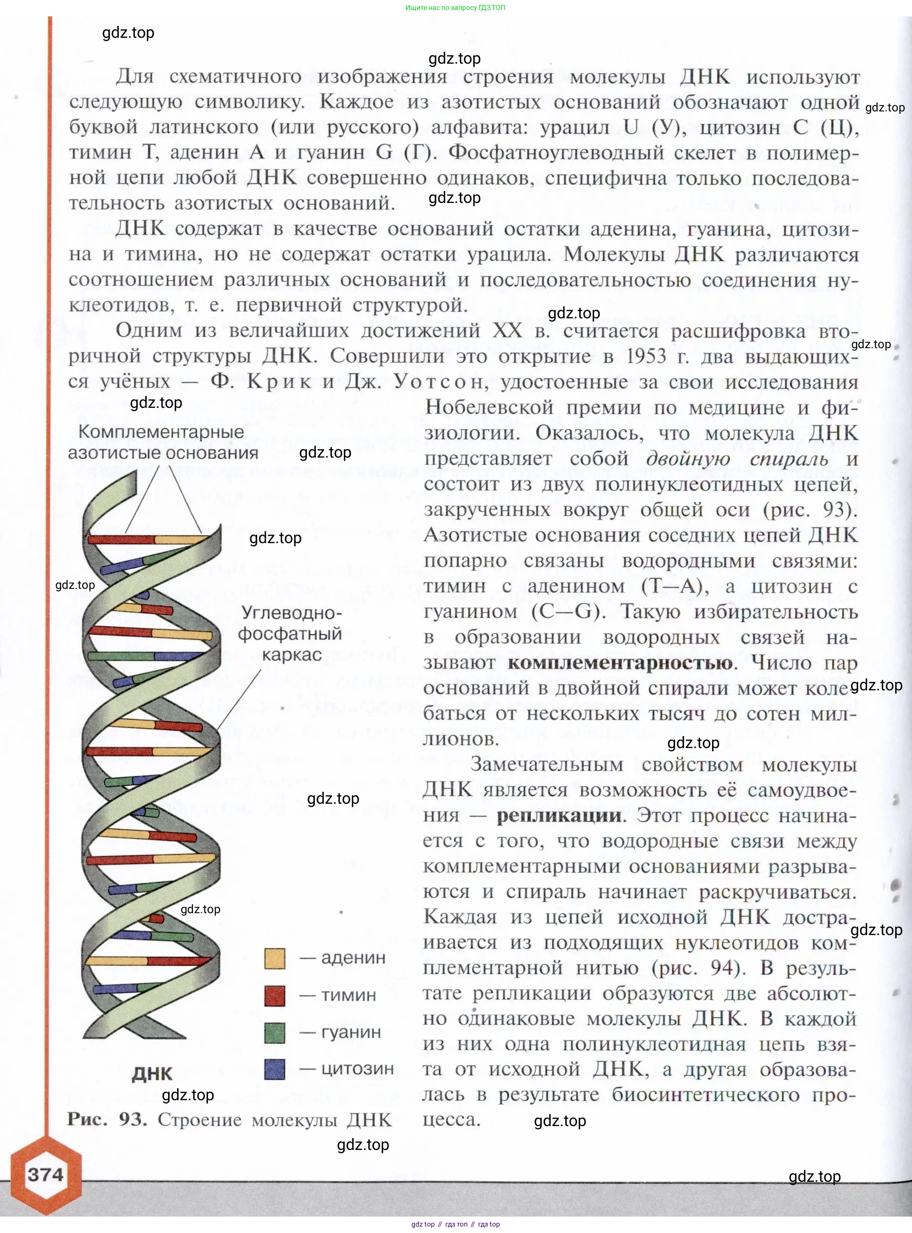 ГДЗ Химия, 10 класс Учебник, авторы: Габриелян Олег Саргисович, Остроумов Игорь Геннадьевич, Сладков Сергей Анатольевич, издательство Просвещение, Москва, 2021, белого цвета, страница 374