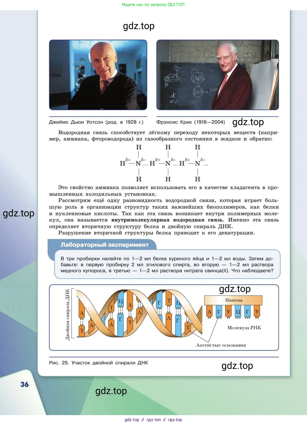Химия, 11 класс Учебник, авторы: Габриелян Олег Саргисович, Остроумов Игорь Геннадьевич, Сладков Сергей Анатольевич, издательство Просвещение, Москва, 2019, белого цвета, страница 36