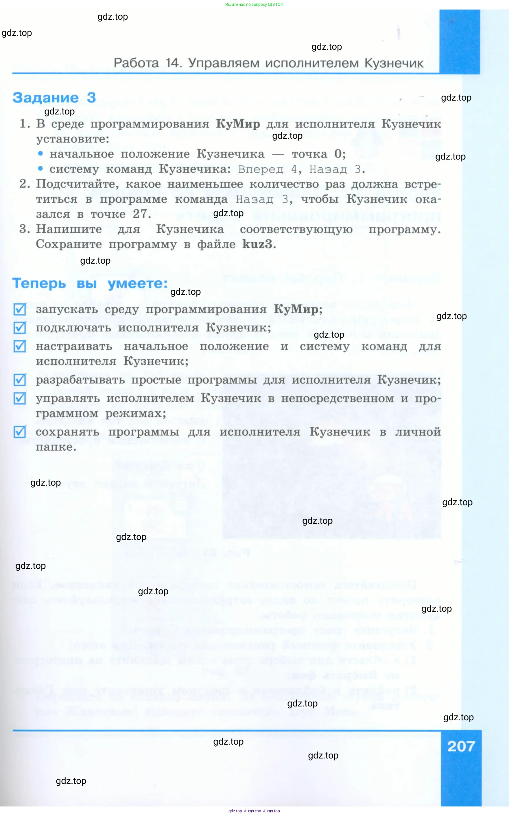Информатика, 5 класс Учебник, авторы: Босова Людмила Леонидовна, Босова Анна Юрьевна, издательство Просвещение, Москва, 2023, страница 207