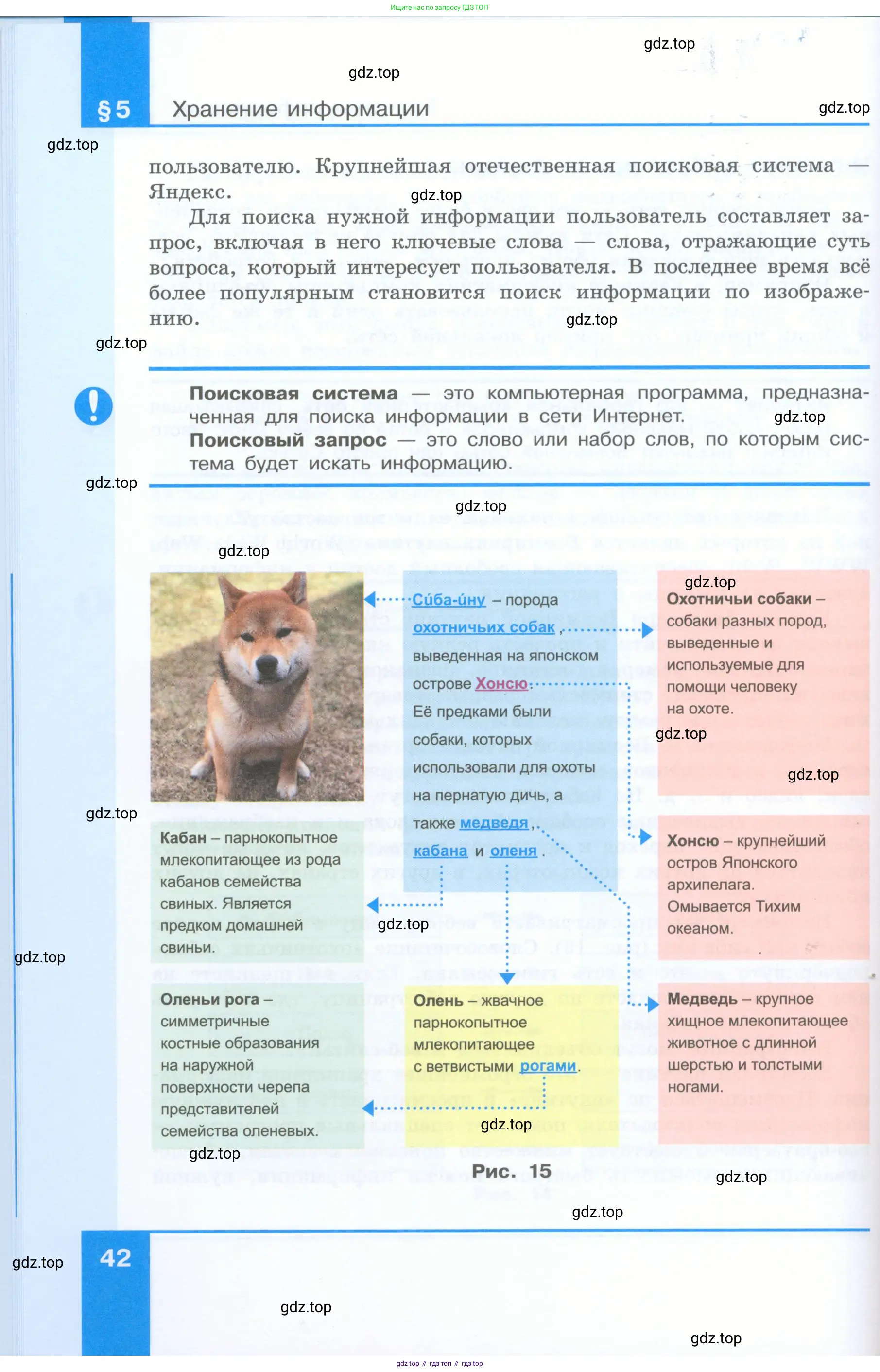 Информатика, 5 класс Учебник, авторы: Босова Людмила Леонидовна, Босова Анна Юрьевна, издательство Просвещение, Москва, 2023, страница 42