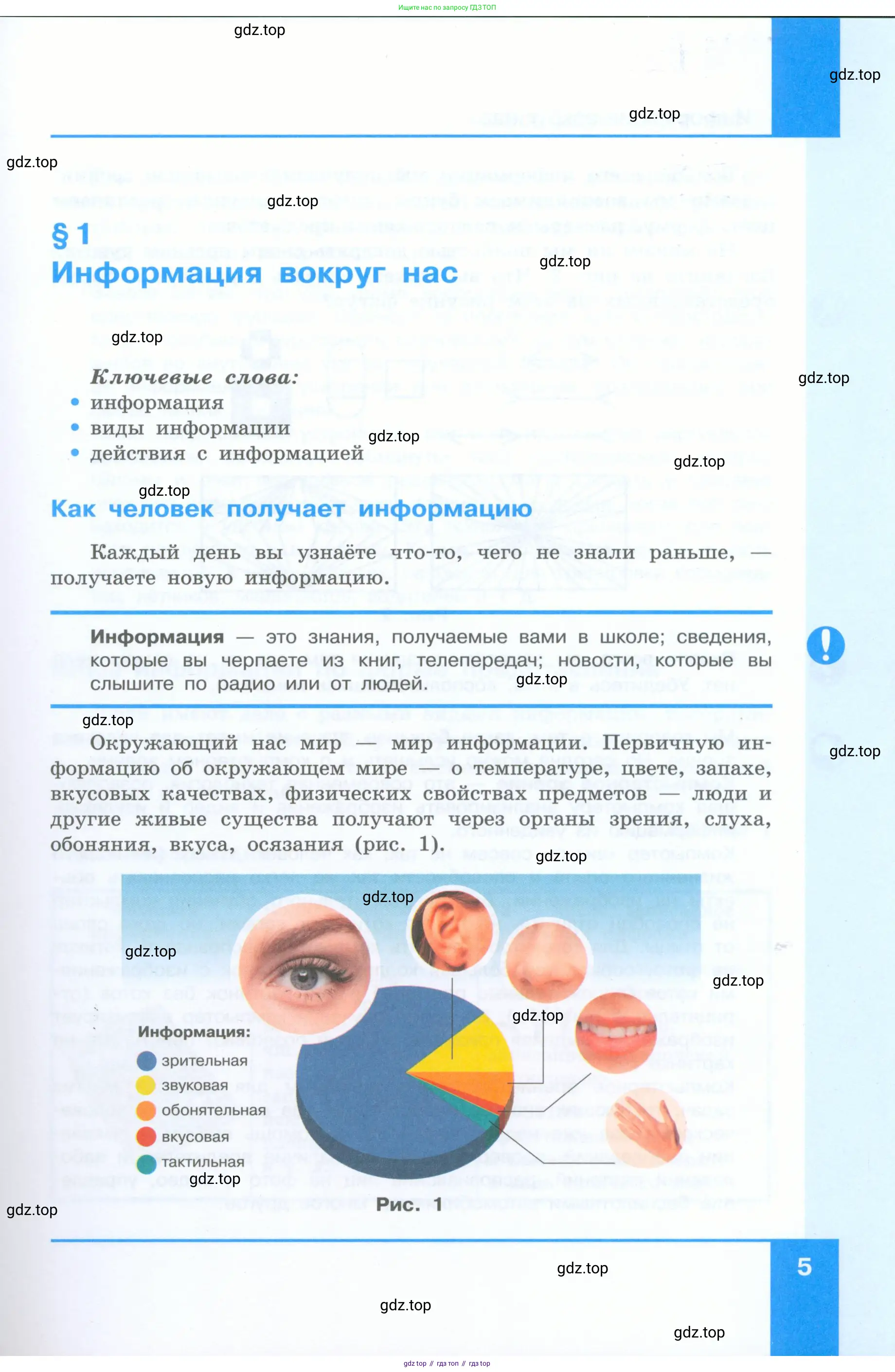 Информатика, 5 класс Учебник, авторы: Босова Людмила Леонидовна, Босова Анна Юрьевна, издательство Просвещение, Москва, 2023, страница 5
