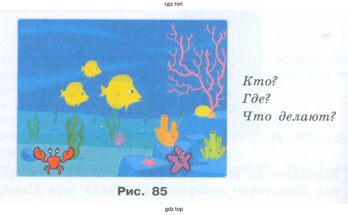 Морские обитатели