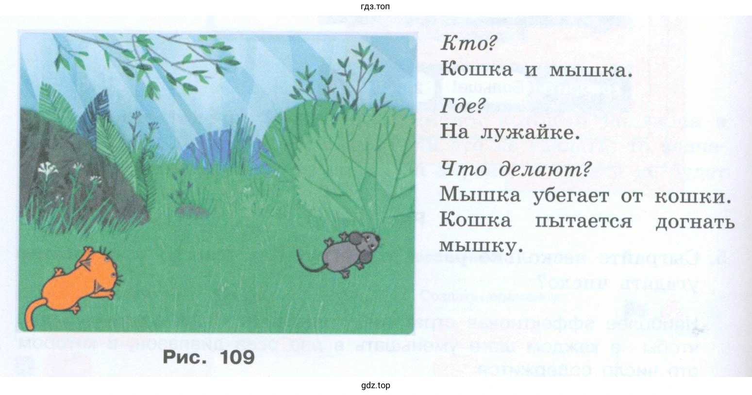 Догонит ли кошка мышку