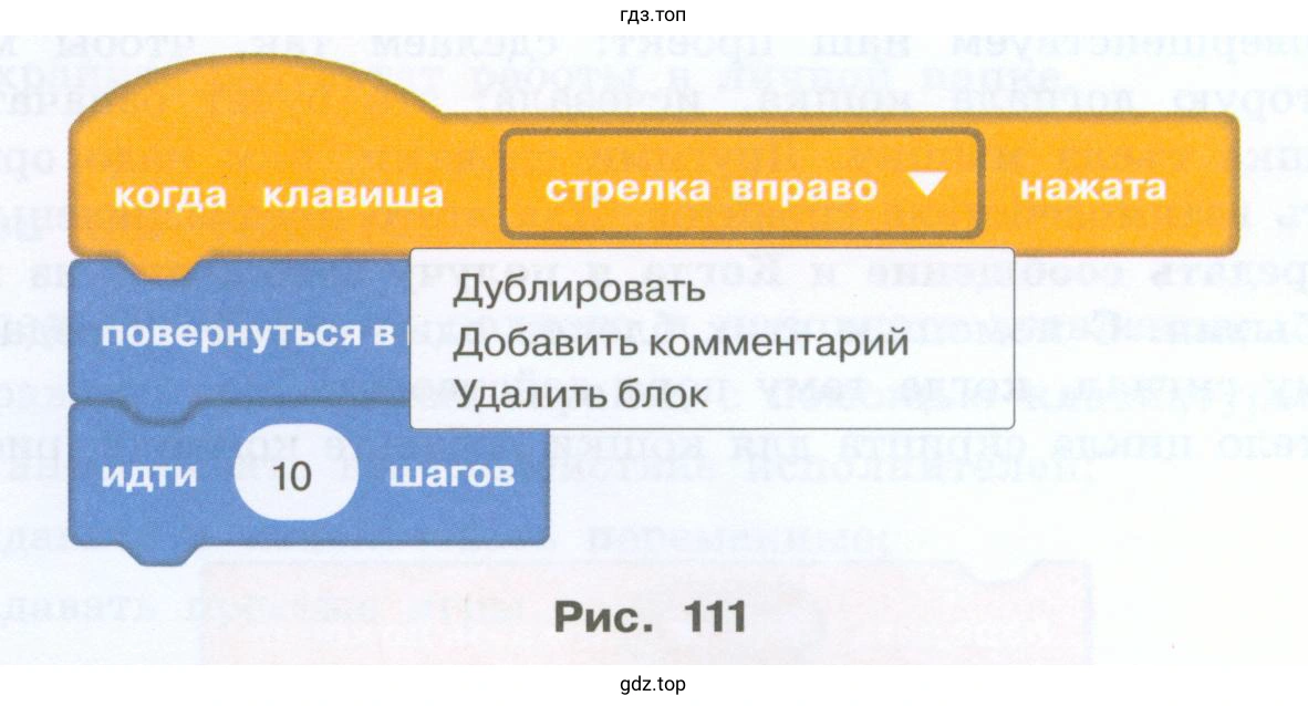 Догонит ли кошка мышку