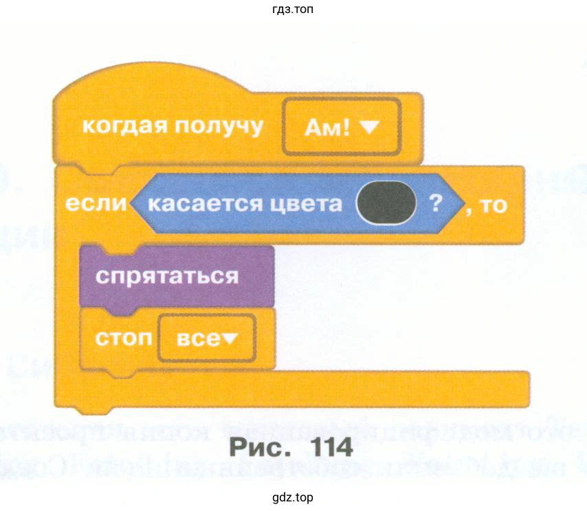 Догонит ли кошка мышку