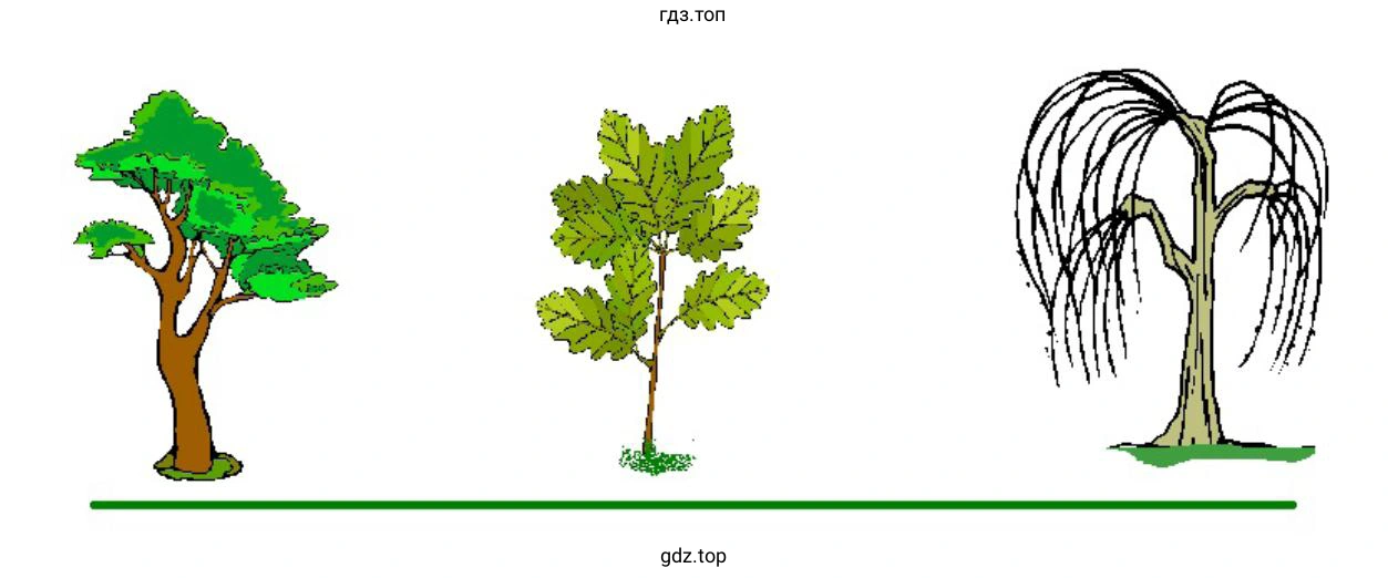 Изобразить фигуру Природа 1 в Paint (KolourPaint)