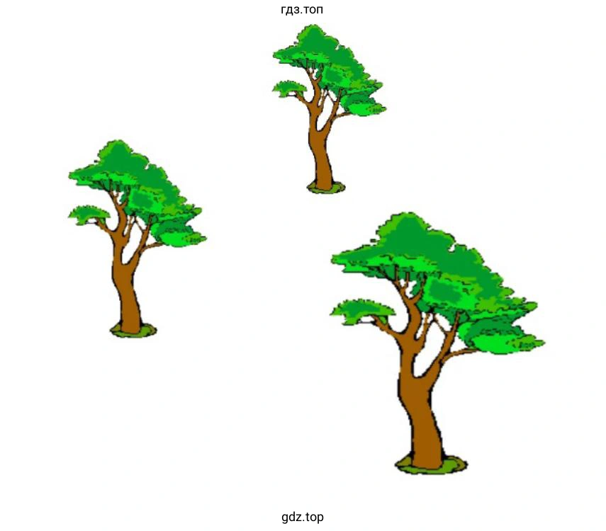 Изобразить фигуру Сосны в Paint (KolourPaint)