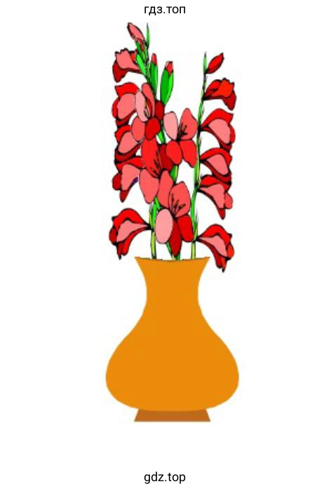 Изобразить фигуру Вазы 1 в Paint (KolourPaint)