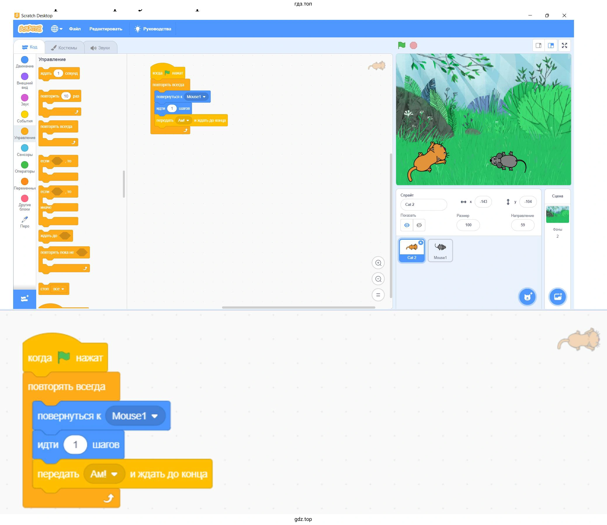 Догонит ли кошка мышку