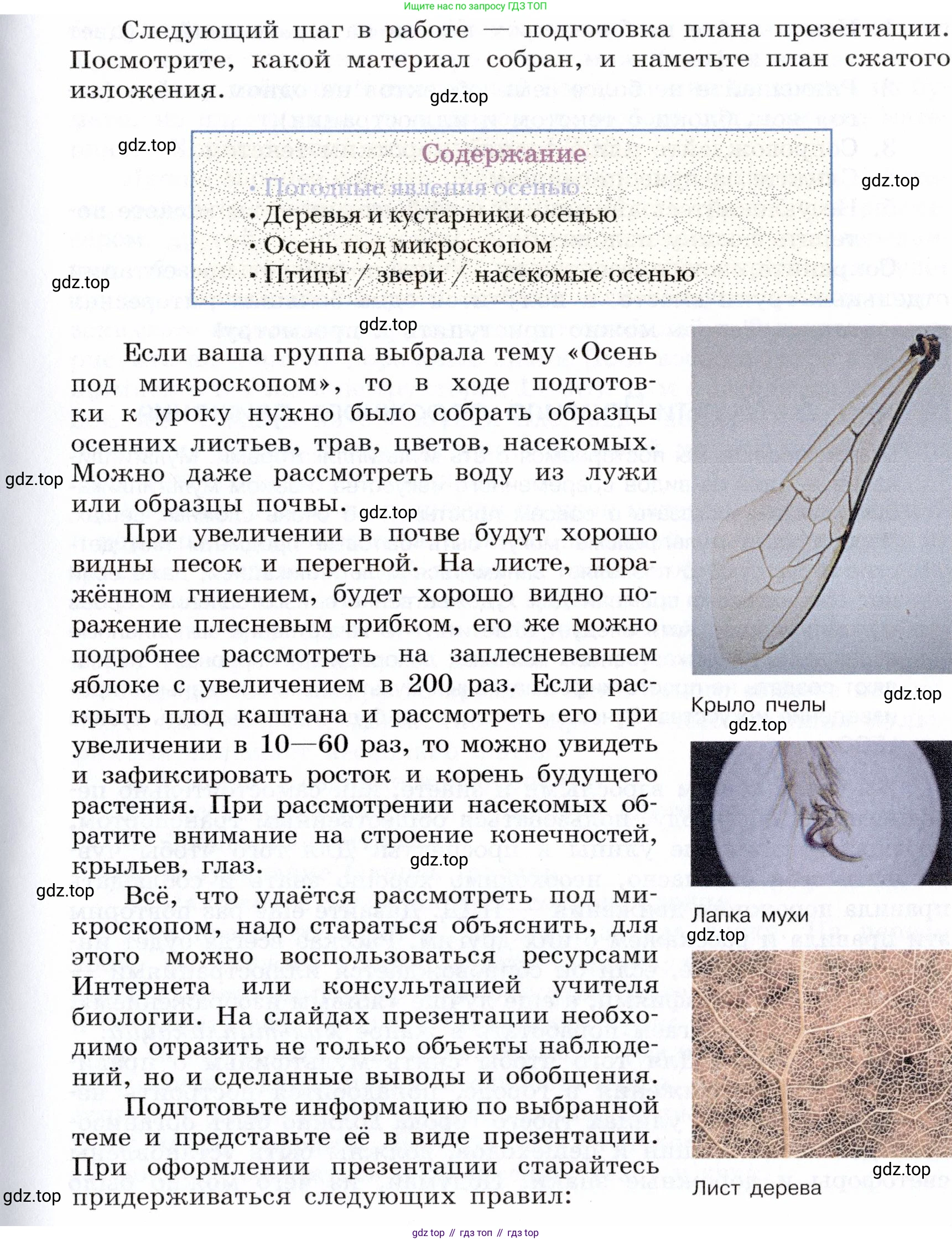 ГДЗ Информатика, 5 класс Учебник, авторы: Семенов Алексей Львович, Рудченко Татьяна Александровна, издательство Просвещение, Москва, 2019, страница 123, Условие (продолжение 5)