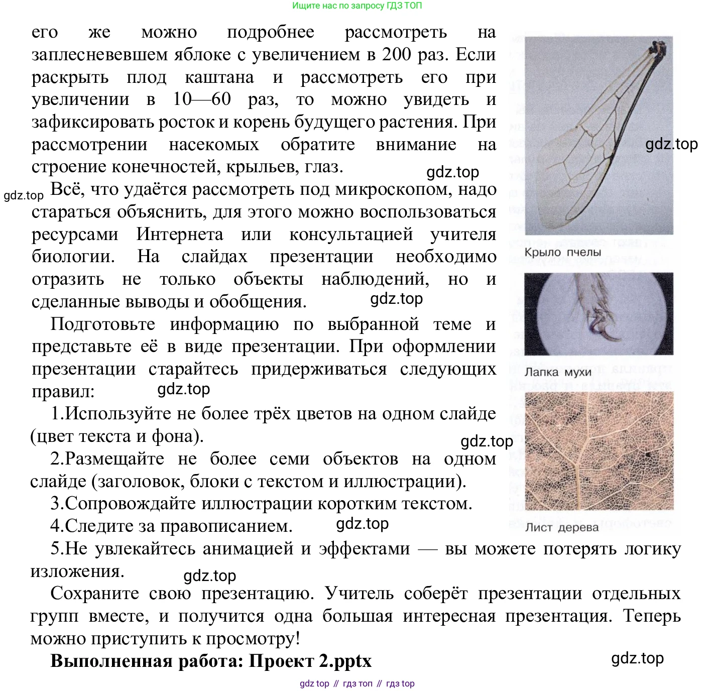 ГДЗ Информатика, 5 класс Учебник, авторы: Семенов Алексей Львович, Рудченко Татьяна Александровна, издательство Просвещение, Москва, 2019, страница 123, Решение (продолжение 4)