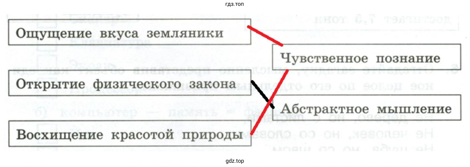 Установить соответствие Абстрактное мышление Чувственное познание Открытие физического закона