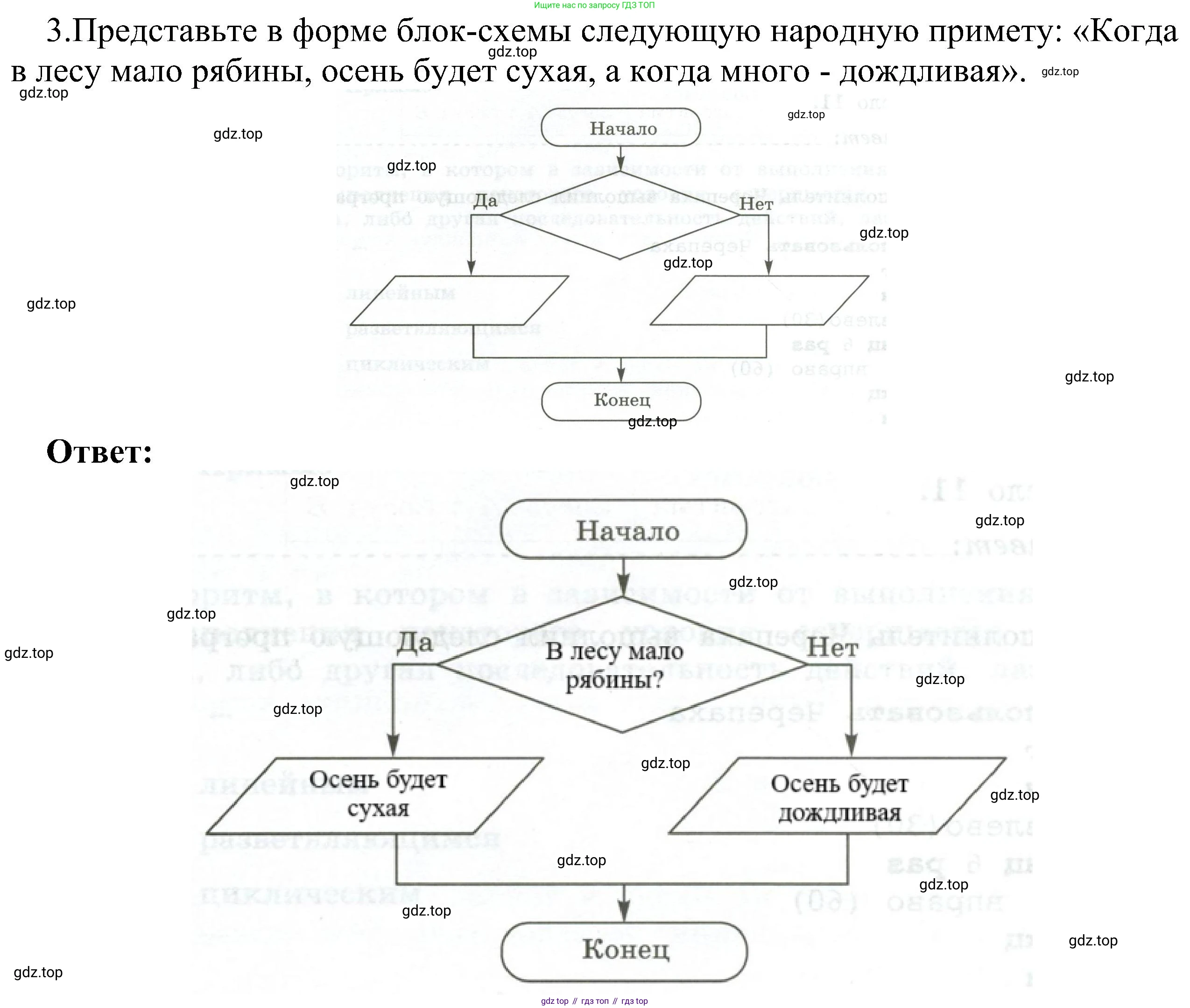 Информатика, 6 класс Самостоятельные и контрольные работы, авторы: Босова Людмила Леонидовна, Босова Анна Юрьевна, издательство Просвещение, Москва, 2020, страница 45, номер 3, Решение