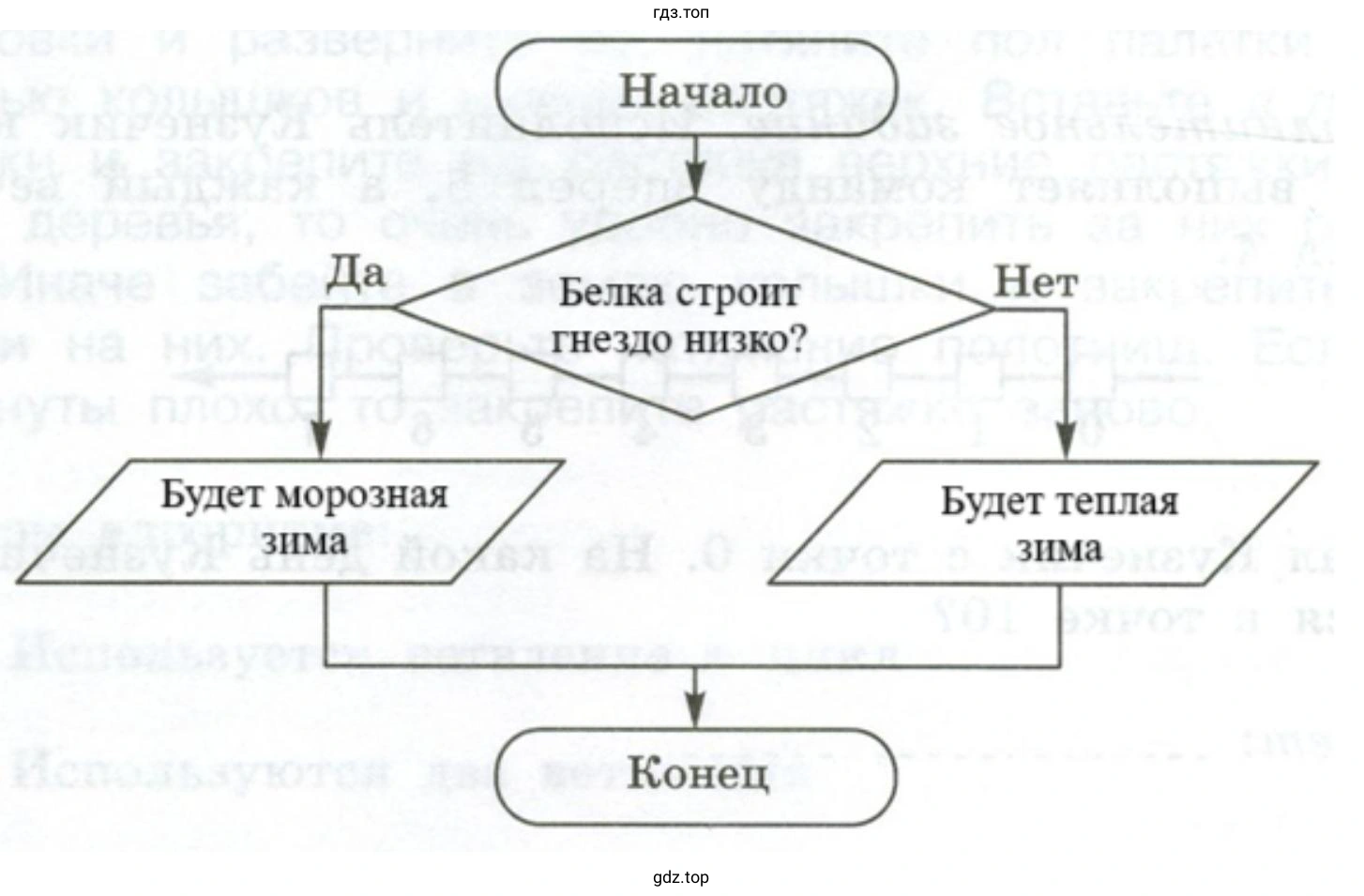 Представить в форме блок-схемы народную примету