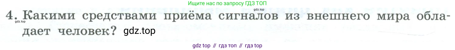 ГДЗ Информатика, 6 класс Учебник, авторы: Босова Людмила Леонидовна, Босова Анна Юрьевна, издательство Просвещение, Москва, 2023, голубого цвета, страница 63, номер 4, Условие