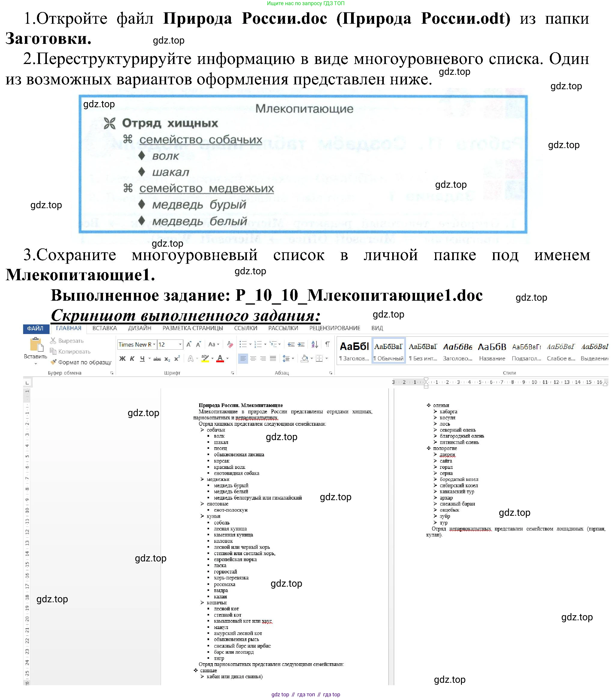 ГДЗ Информатика, 6 класс Учебник, авторы: Босова Людмила Леонидовна, Босова Анна Юрьевна, издательство Просвещение, Москва, 2023, голубого цвета, страница 209, номер 10, Решение