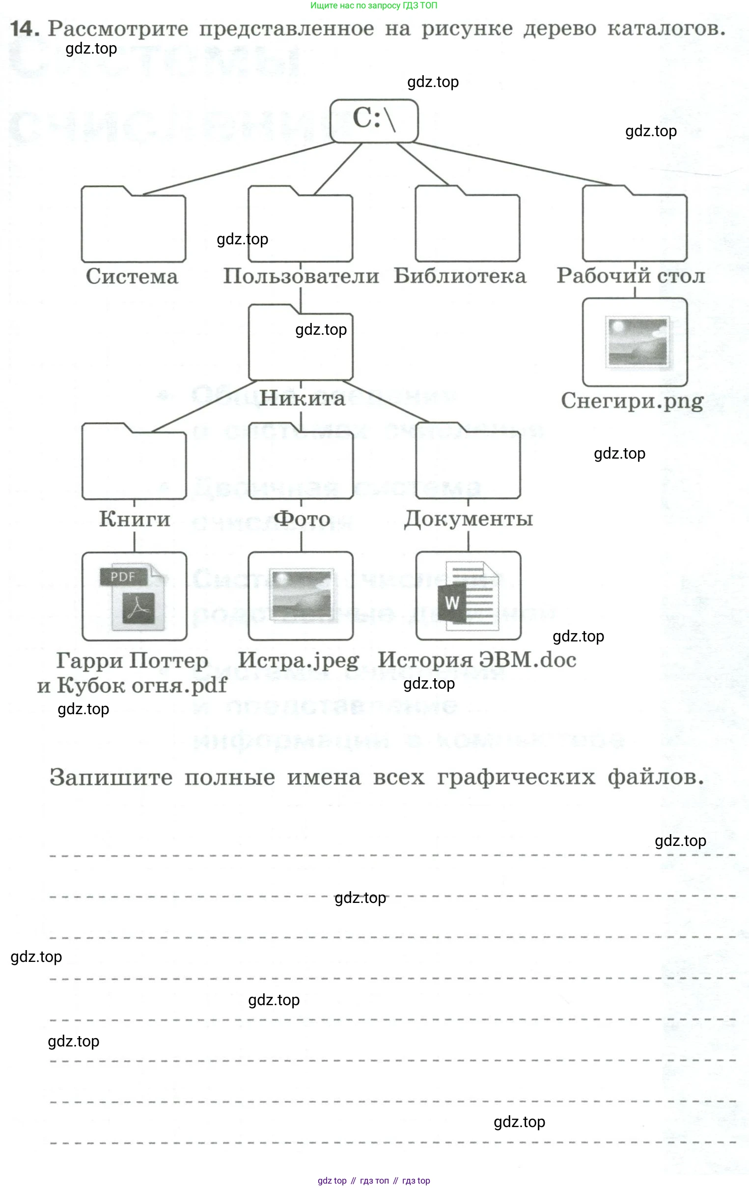 Информатика, 8 класс рабочая тетрадь, авторы: Босова Людмила Леонидовна, Босова Анна Юрьевна, издательство Просвещение, Москва, 2023, Часть 1, страница 13, номер 14, Условие
