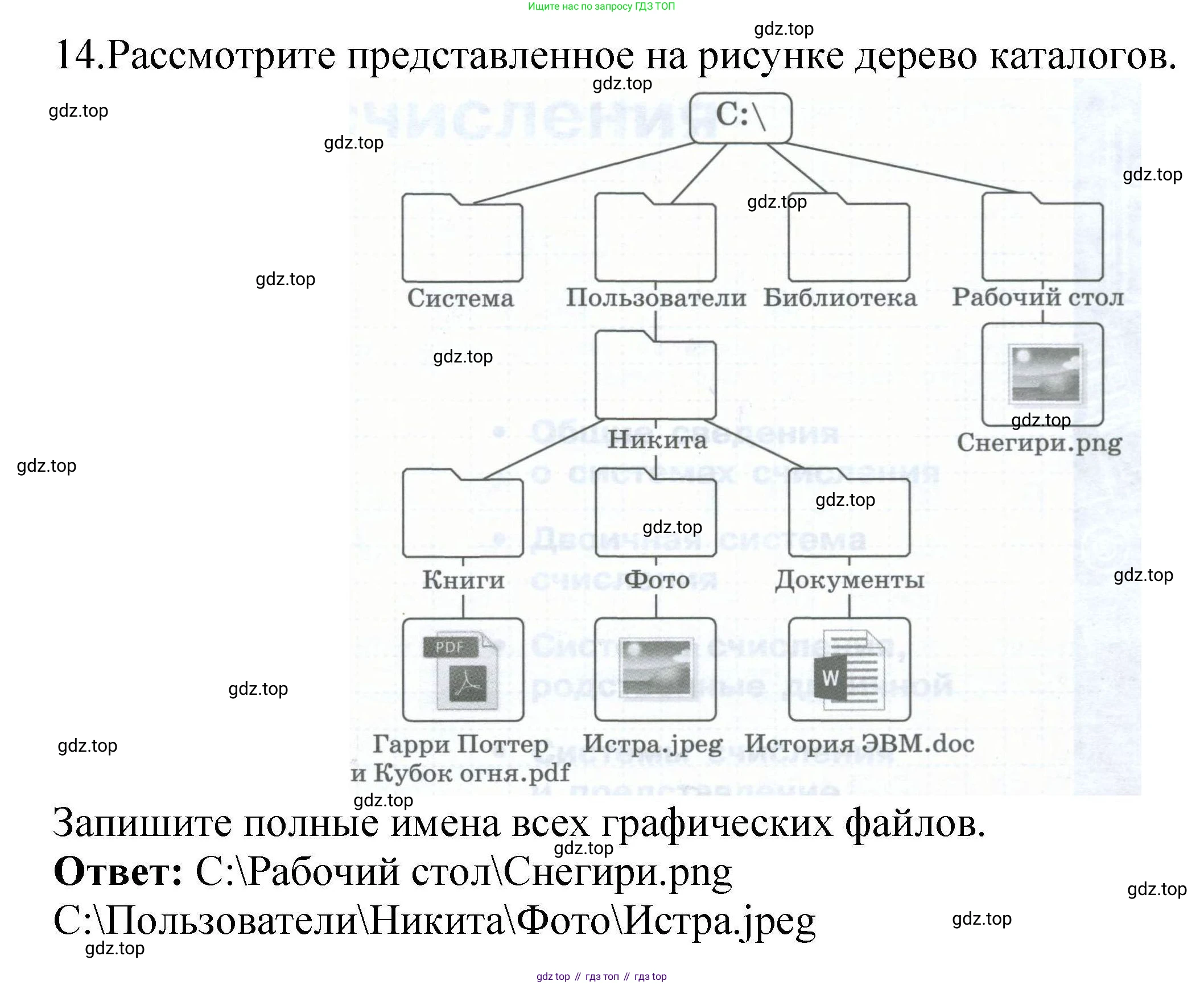 Информатика, 8 класс рабочая тетрадь, авторы: Босова Людмила Леонидовна, Босова Анна Юрьевна, издательство Просвещение, Москва, 2023, Часть 1, страница 13, номер 14, Решение