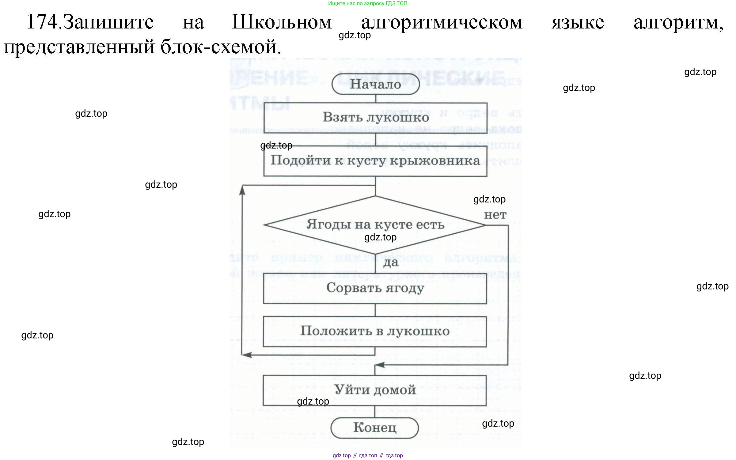 Информатика, 8 класс рабочая тетрадь, авторы: Босова Людмила Леонидовна, Босова Анна Юрьевна, издательство Просвещение, Москва, 2023, Часть 2, страница 26, номер 174, Решение