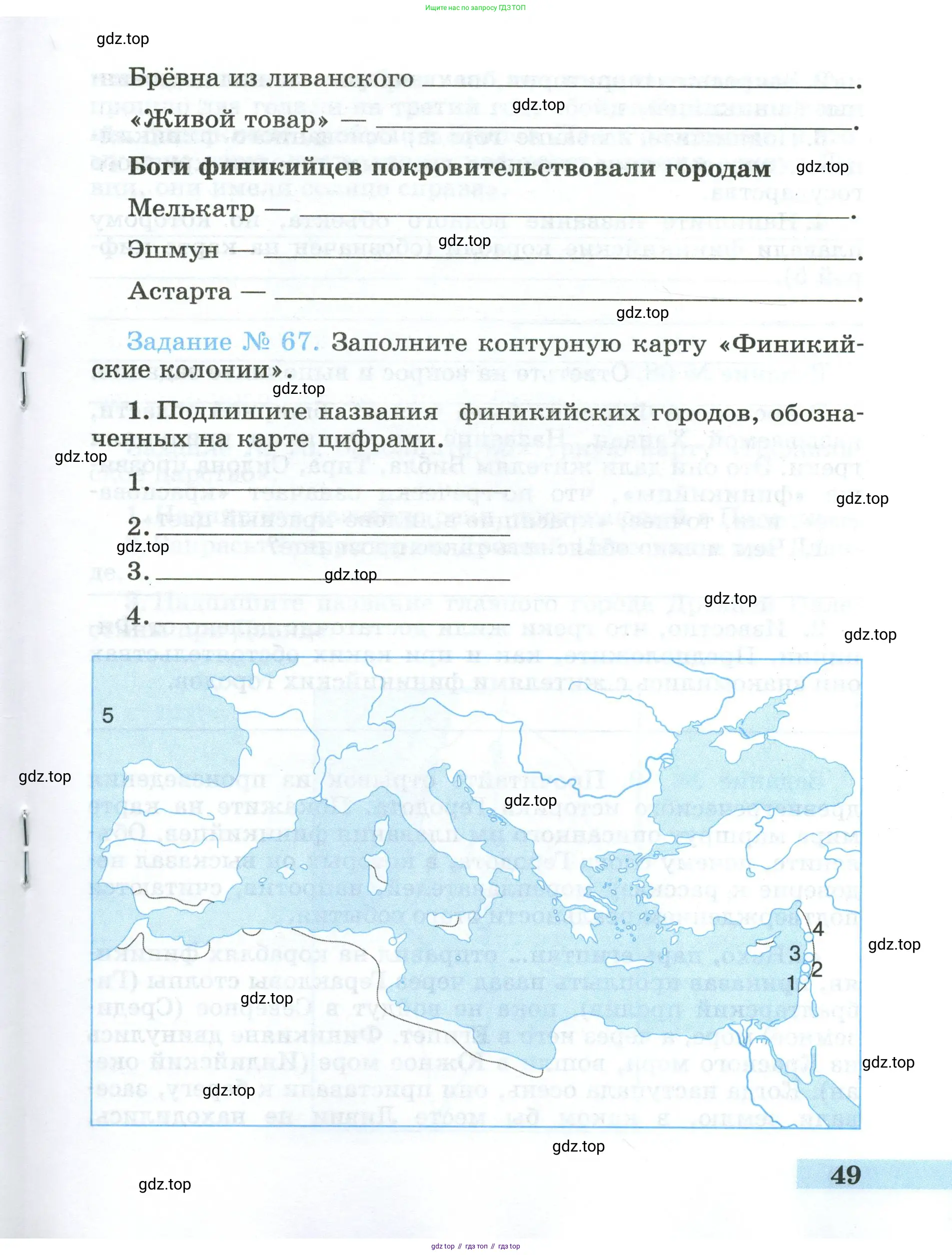 Всеобщая история, 5 класс рабочая тетрадь, автор: Годер Георгий Израилевич, издательство Просвещение, Москва, 2023, Часть 1, страница 49