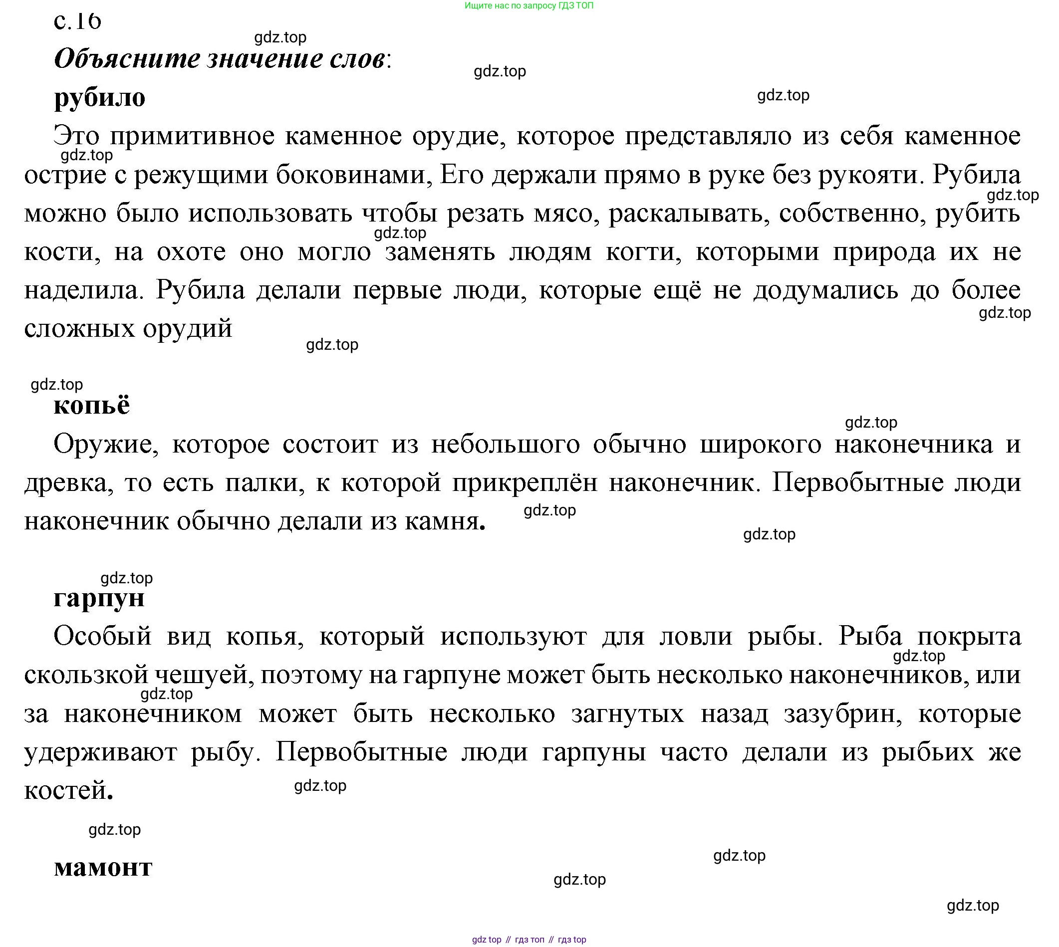 Всеобщая история, 5 класс Учебник, авторы: Вигасин Алексей Алексеевич, Годер Георгий Израилевич, Свенцицкая Ирина Сергеевна, издательство Просвещение, Москва, 2023, страница 19, Решение (подробные ответ)