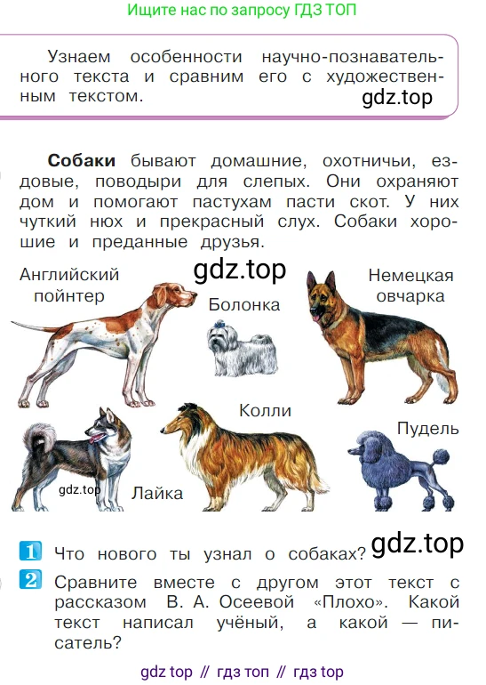 ГДЗ Литературное чтение, 1 класс Учебник, авторы: Климанова Людмила Федоровна, Горецкий Всеслав Гаврилович, Голованова Мария Владимировна, Виноградская Людмила Андреевна, Бойкина Марина Викторовна, издательство Просвещение, Москва, 2023, белого цвета, Часть 2, страница 64, Условие
