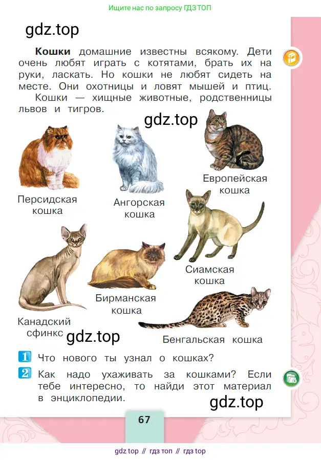 Литературное чтение, 1 класс Учебник, авторы: Климанова Людмила Федоровна, Горецкий Всеслав Гаврилович, Голованова Мария Владимировна, Виноградская Людмила Андреевна, Бойкина Марина Викторовна, издательство Просвещение, Москва, 2023, белого цвета, Часть 1, страница 67