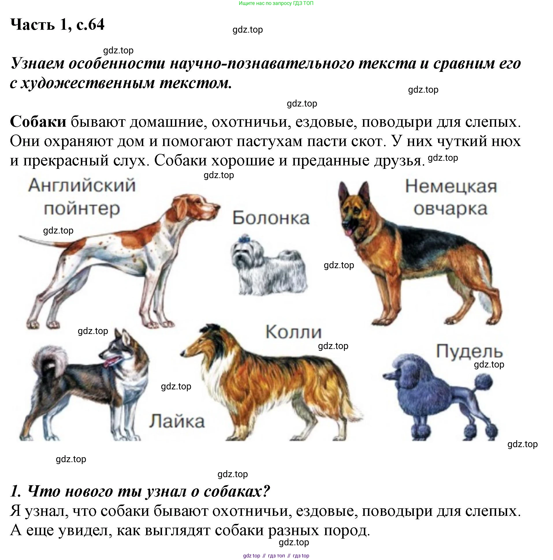 ГДЗ Литературное чтение, 1 класс Учебник, авторы: Климанова Людмила Федоровна, Горецкий Всеслав Гаврилович, Голованова Мария Владимировна, Виноградская Людмила Андреевна, Бойкина Марина Викторовна, издательство Просвещение, Москва, 2023, белого цвета, Часть 2, страница 64, Решение